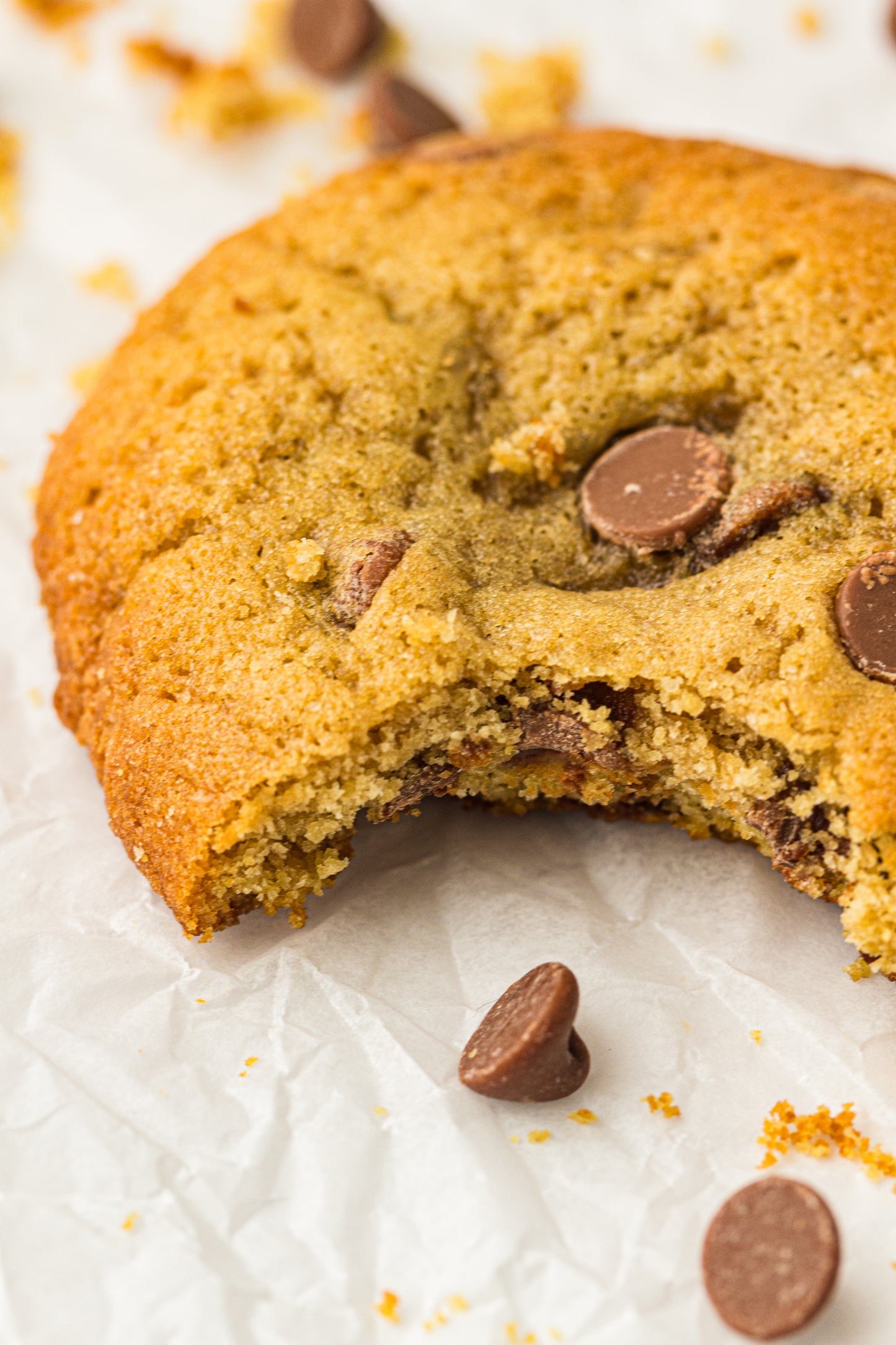 Sourdough Discard Cookies (PLR Recipe)