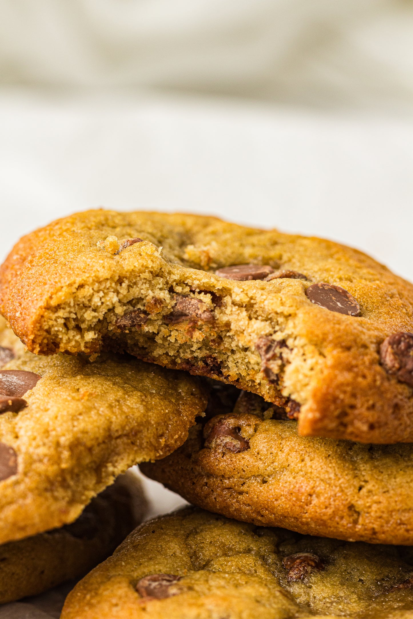 Sourdough Discard Cookies (PLR Recipe)