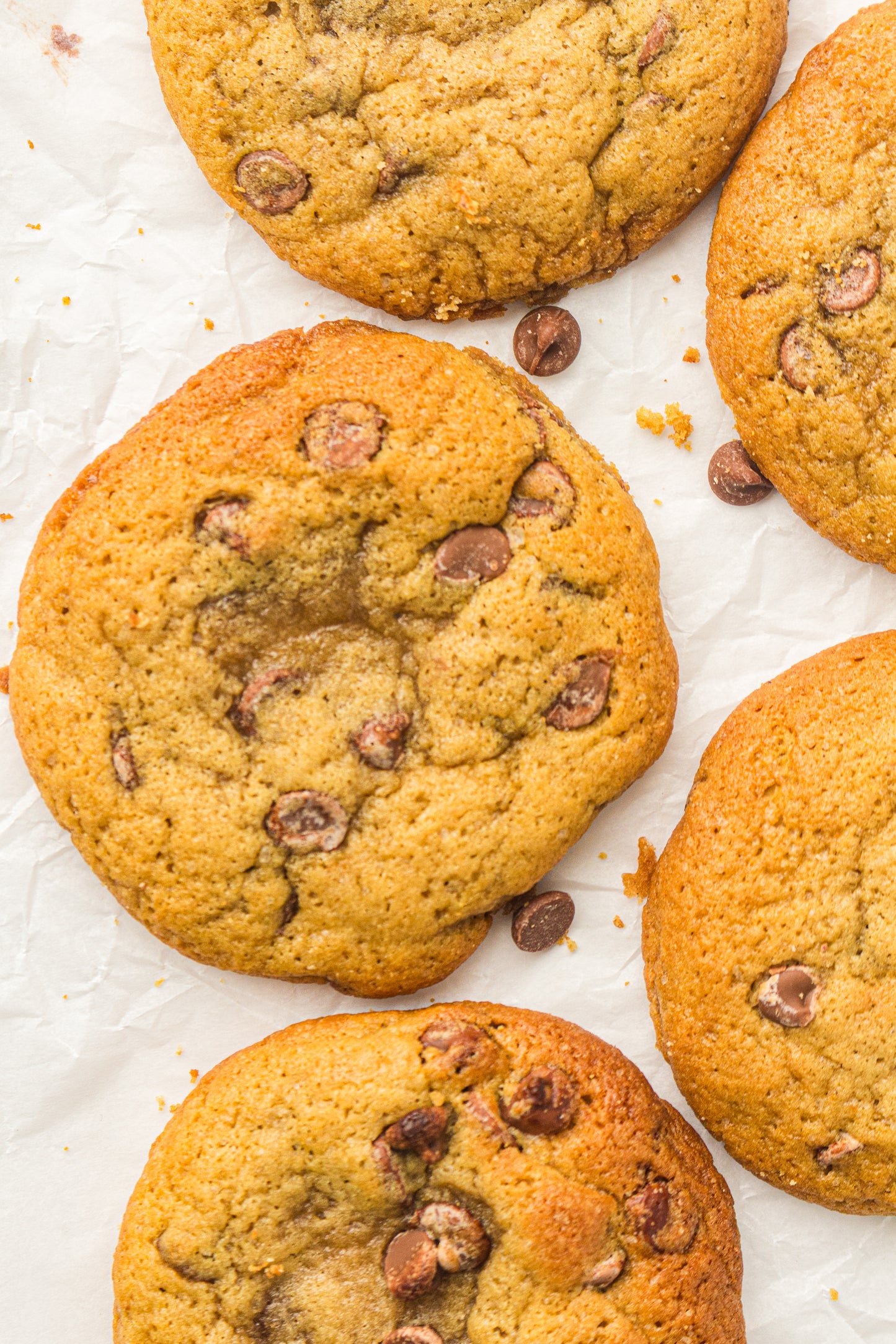 Sourdough Discard Cookies (PLR Recipe)