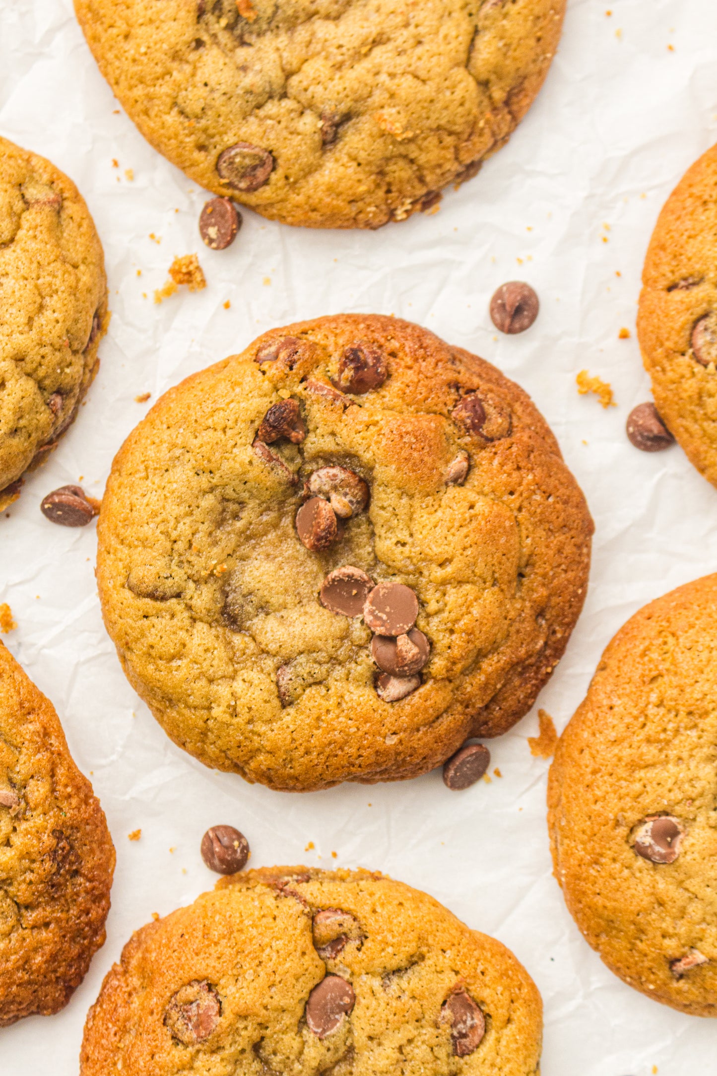 Sourdough Discard Cookies (PLR Recipe)