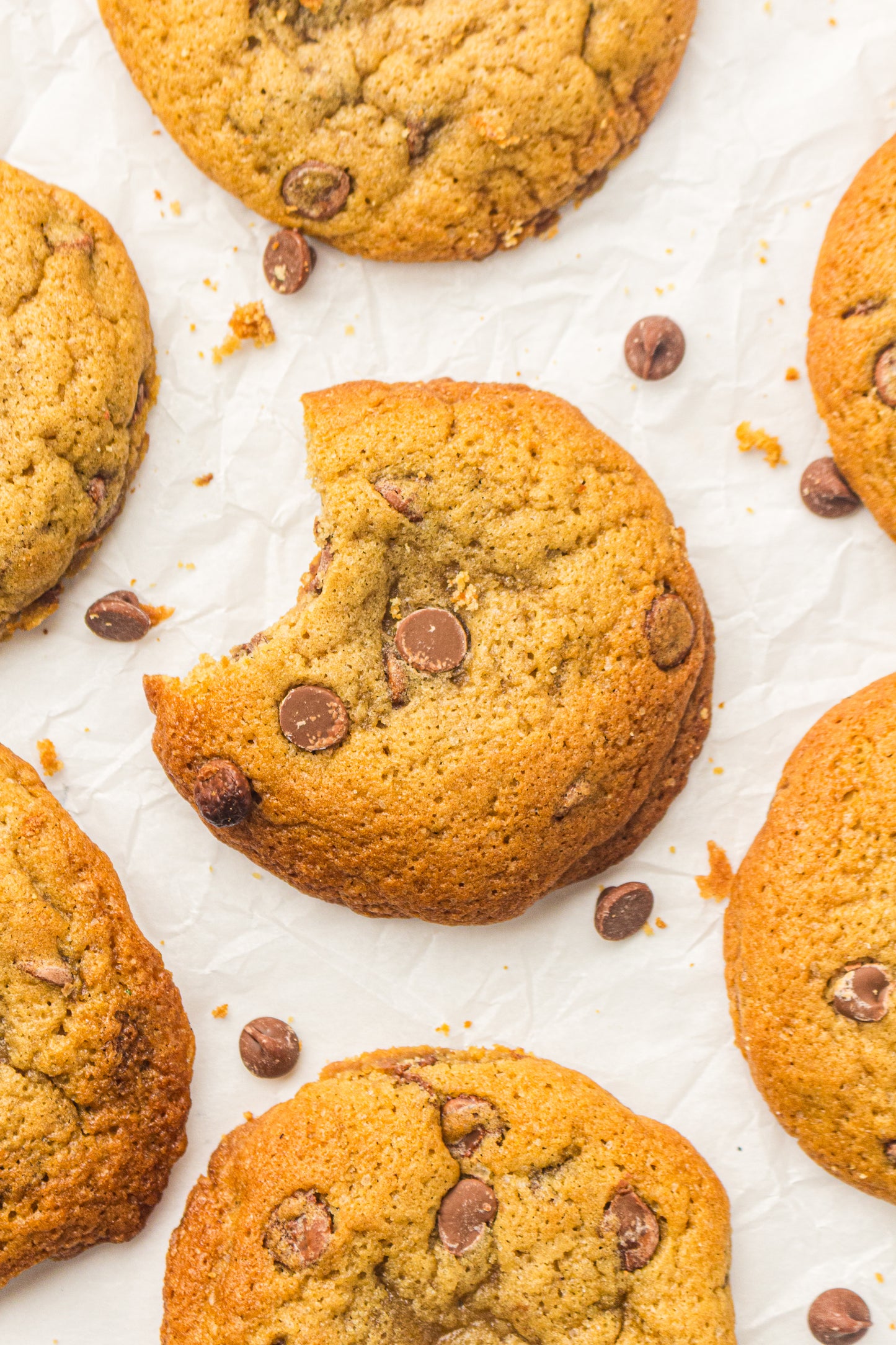 Sourdough Discard Cookies (PLR Recipe)