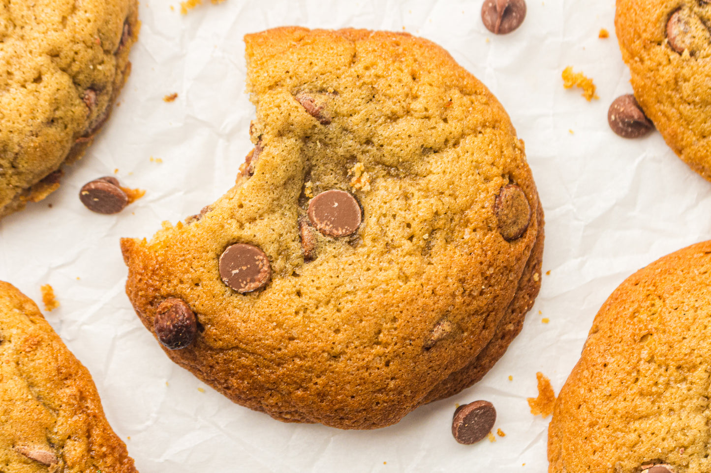 Sourdough Discard Cookies (PLR Recipe)