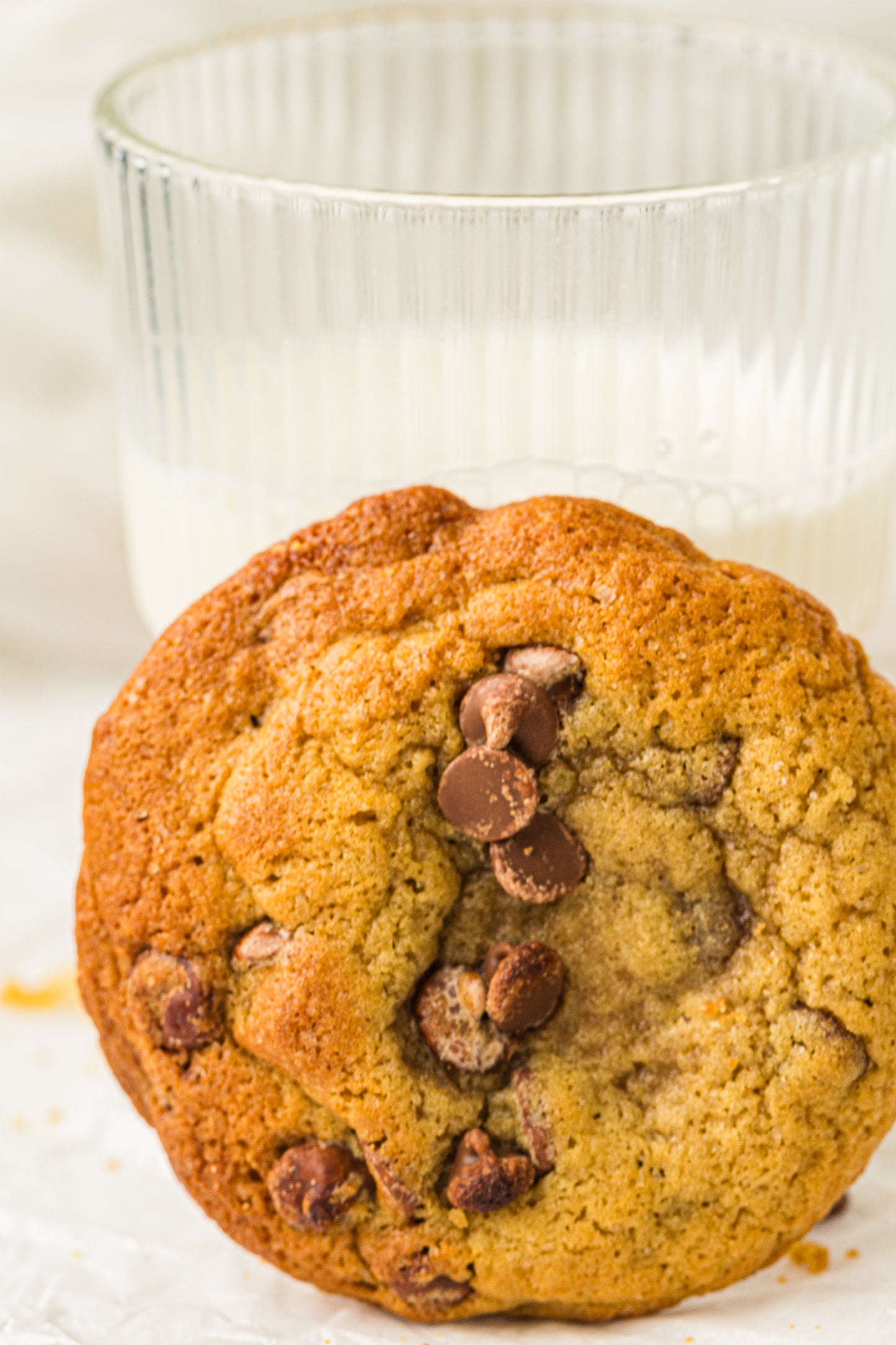 Sourdough Discard Cookies (PLR Recipe)