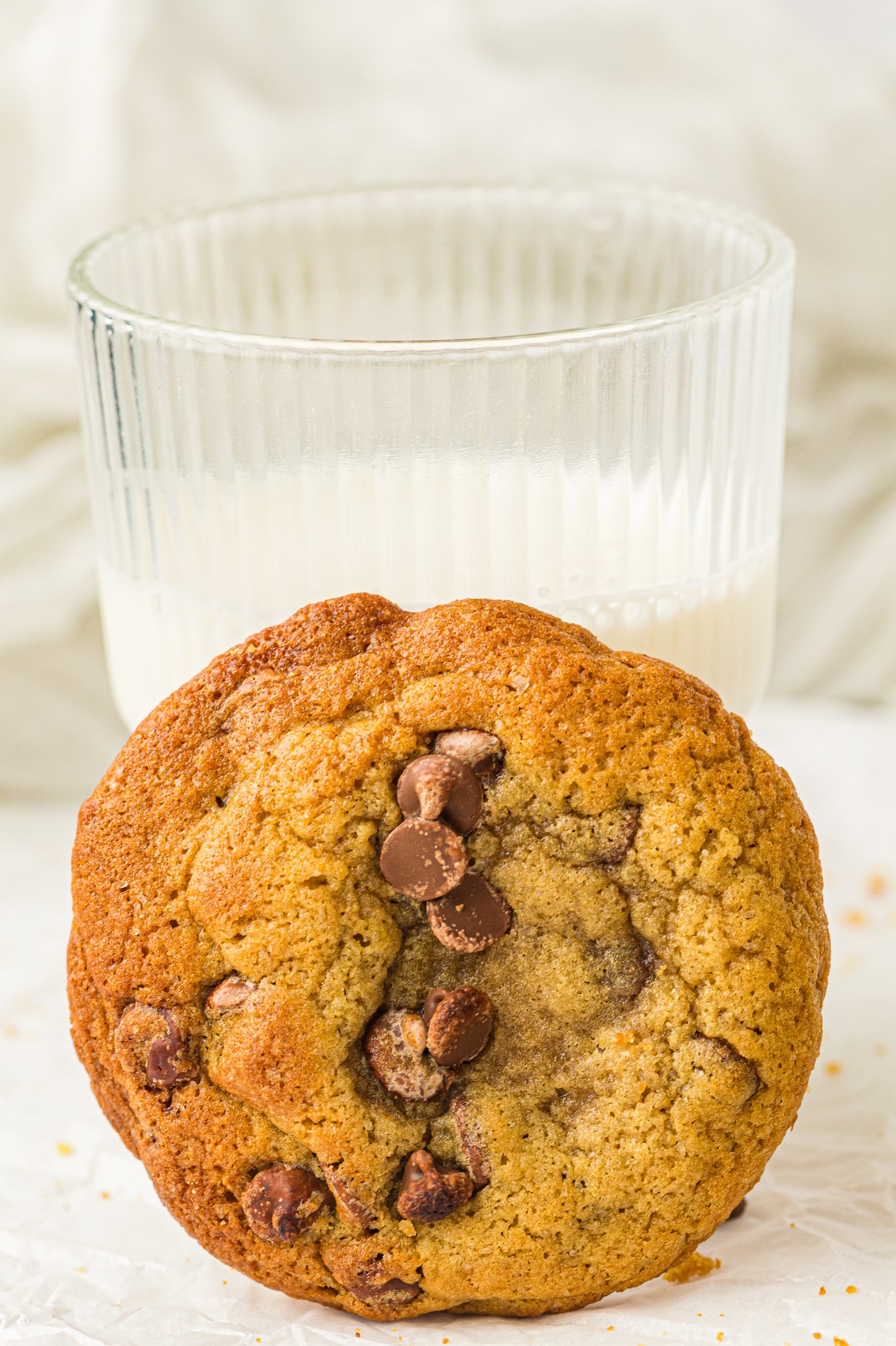 Sourdough Discard Cookies (PLR Recipe)