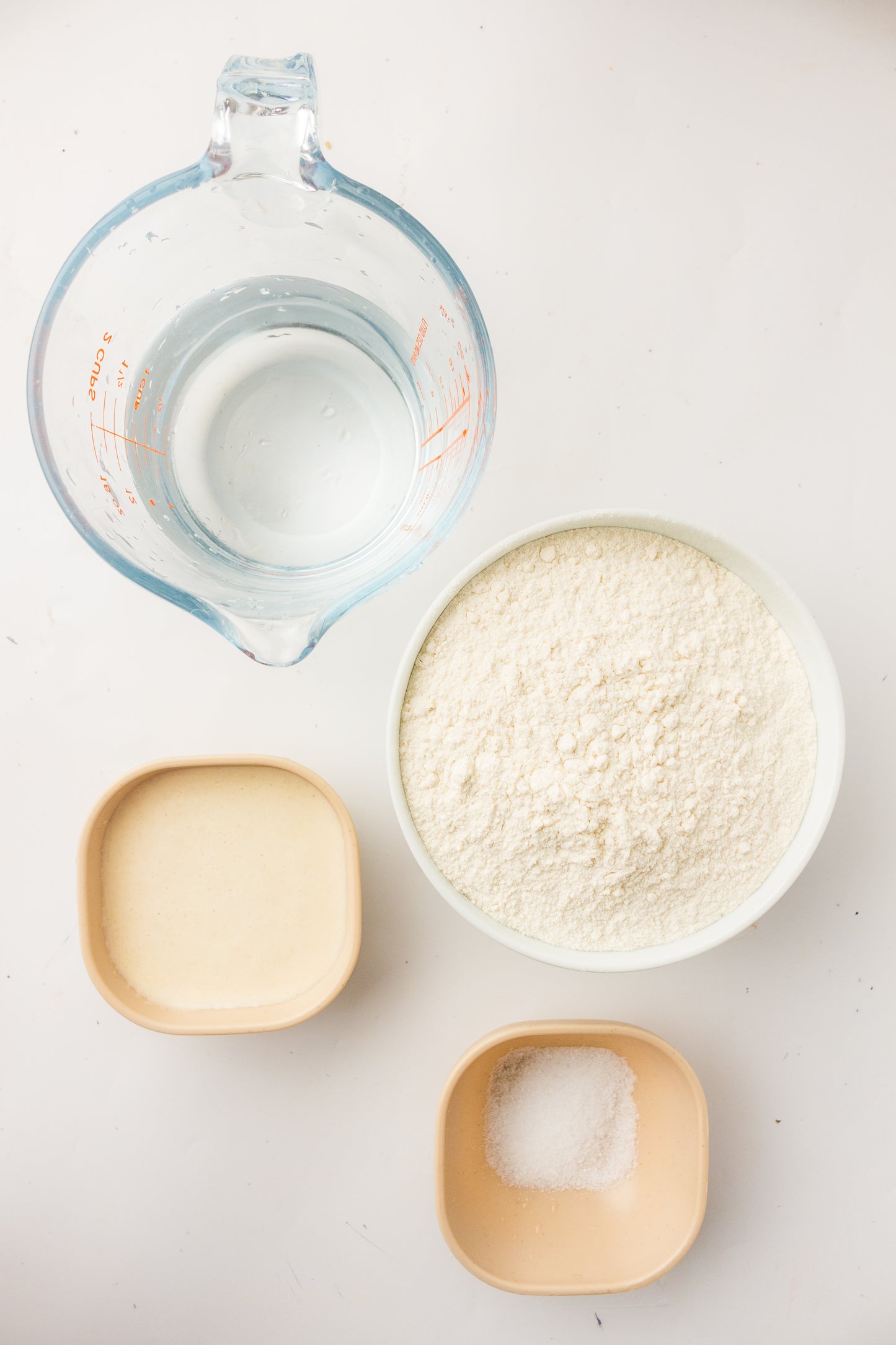 Artisan Sourdough Loaf (PLR Recipe)