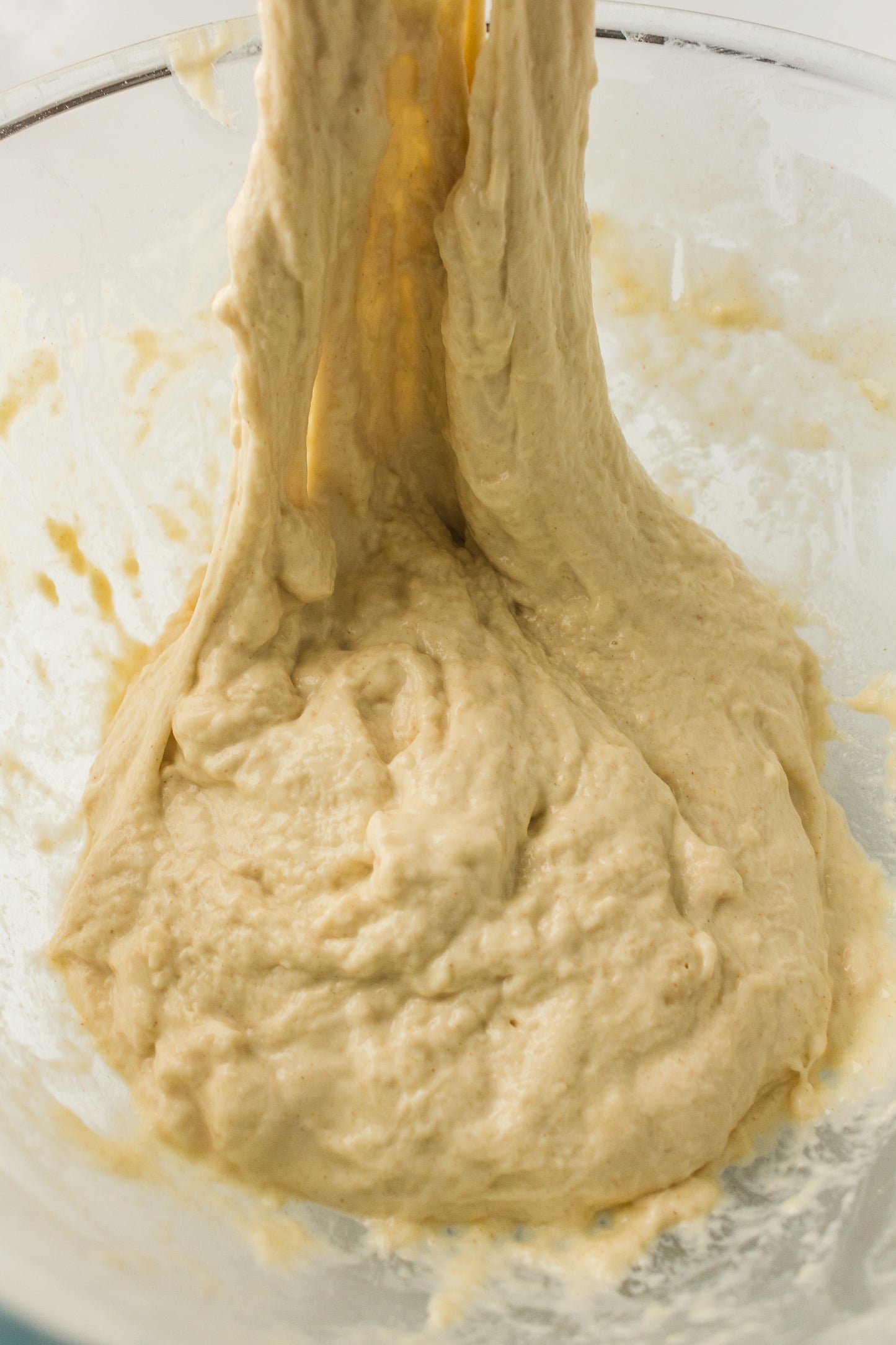 Artisan Sourdough Loaf (PLR Recipe)