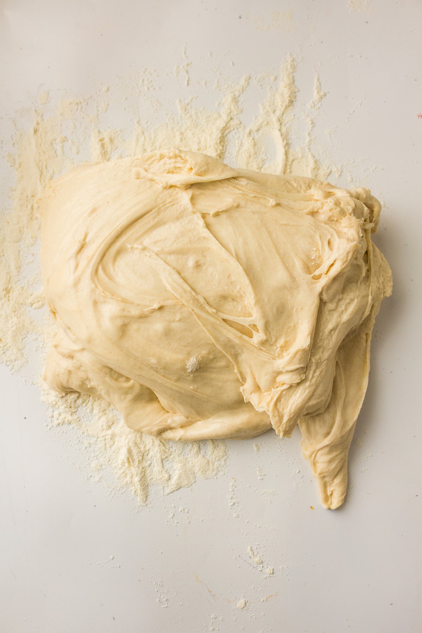 Artisan Sourdough Loaf (PLR Recipe)