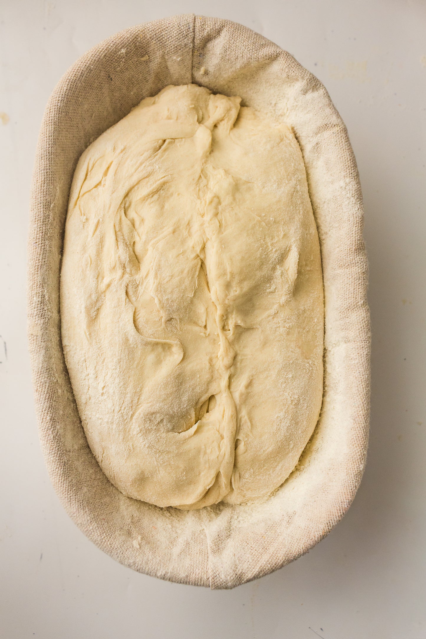 Artisan Sourdough Loaf (PLR Recipe)