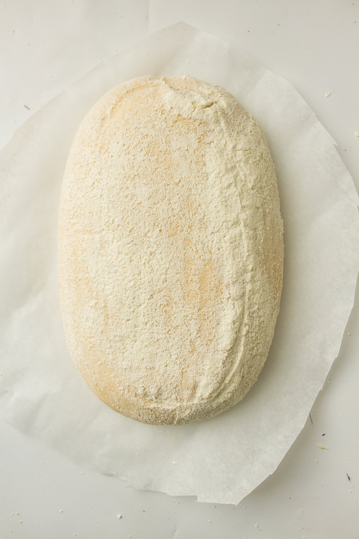 Artisan Sourdough Loaf (PLR Recipe)