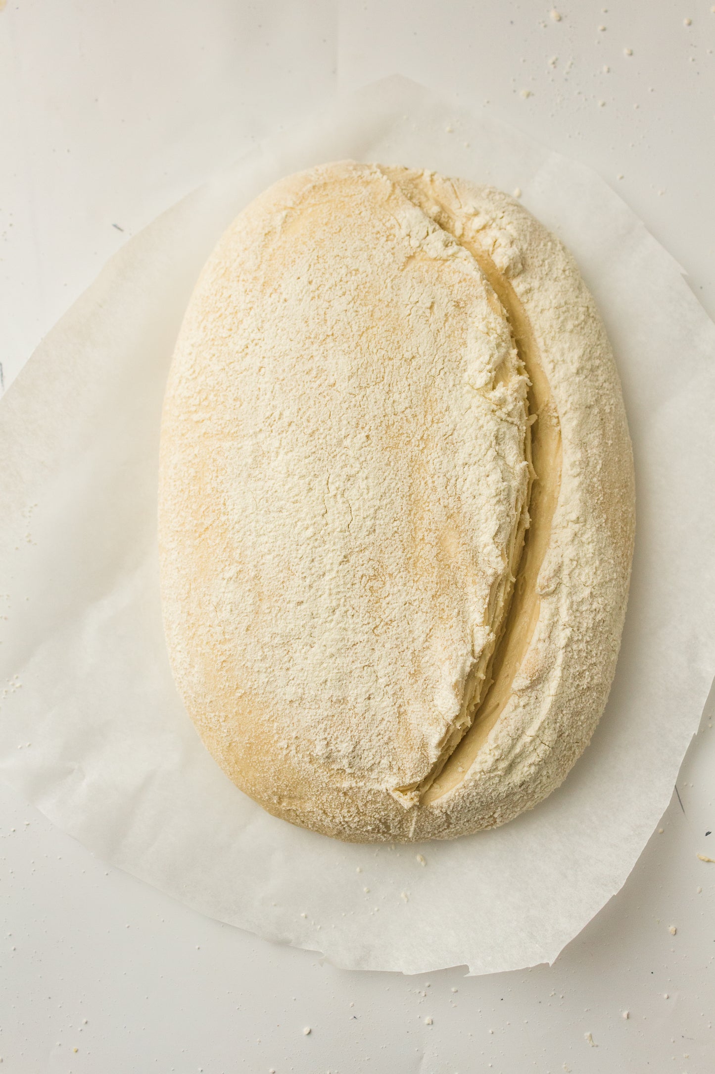 Artisan Sourdough Loaf (PLR Recipe)