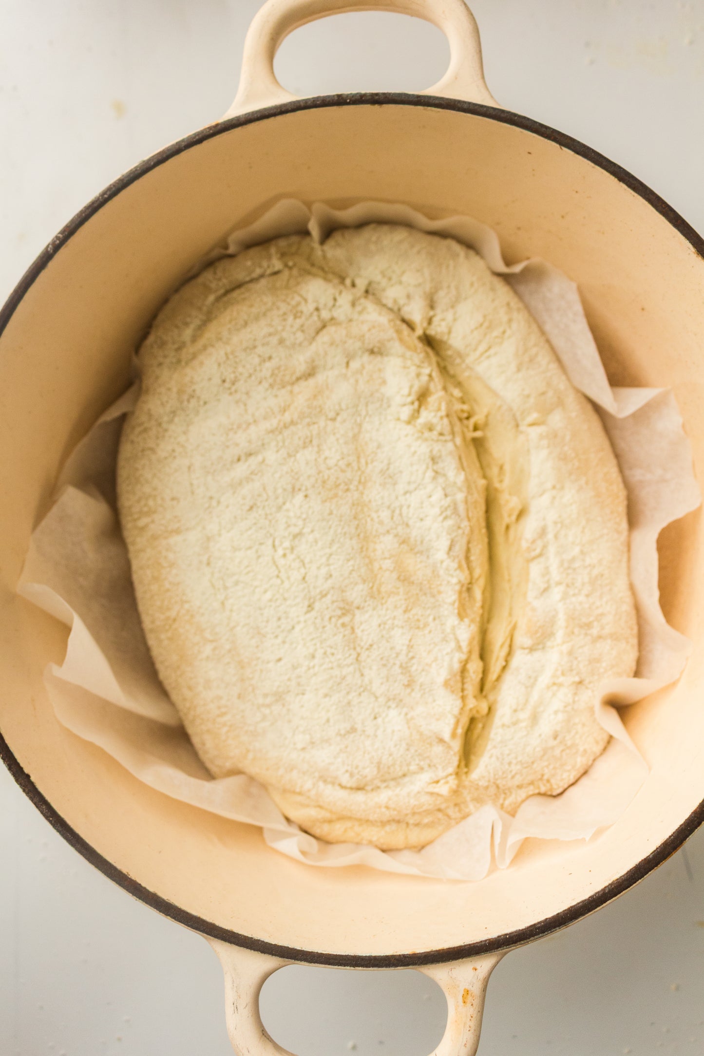 Artisan Sourdough Loaf (PLR Recipe)