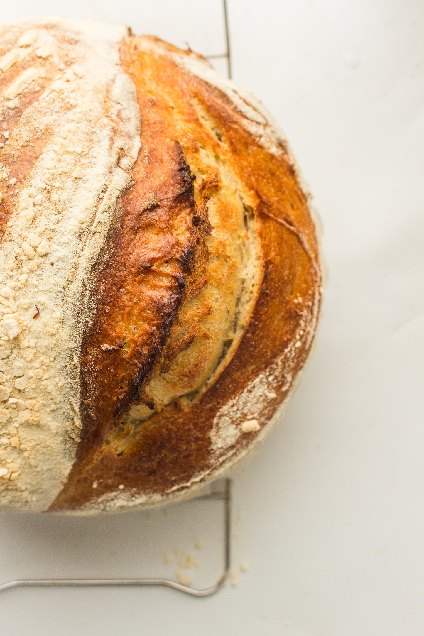 Artisan Sourdough Loaf (PLR Recipe)