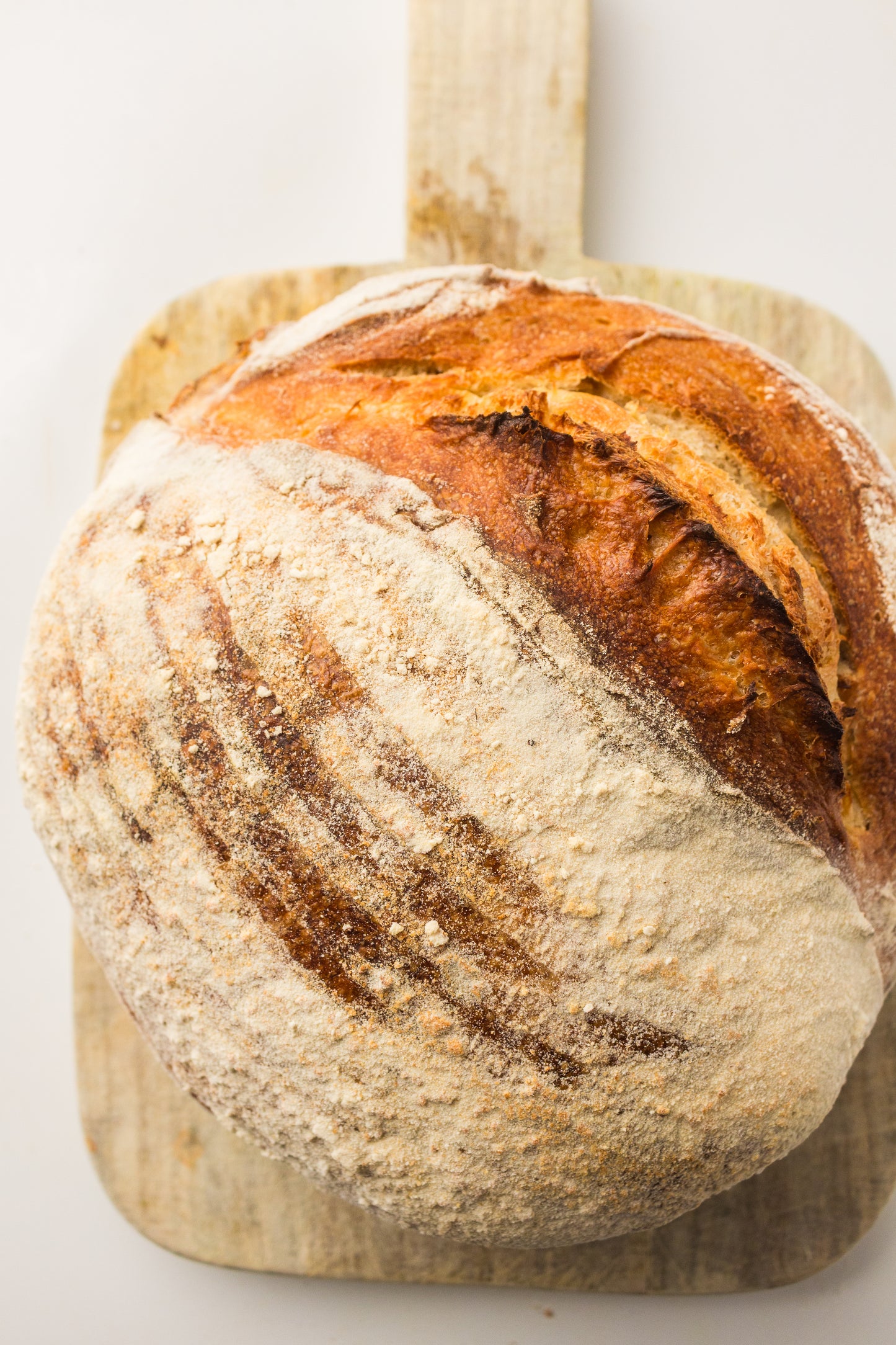 Artisan Sourdough Loaf (PLR Recipe)