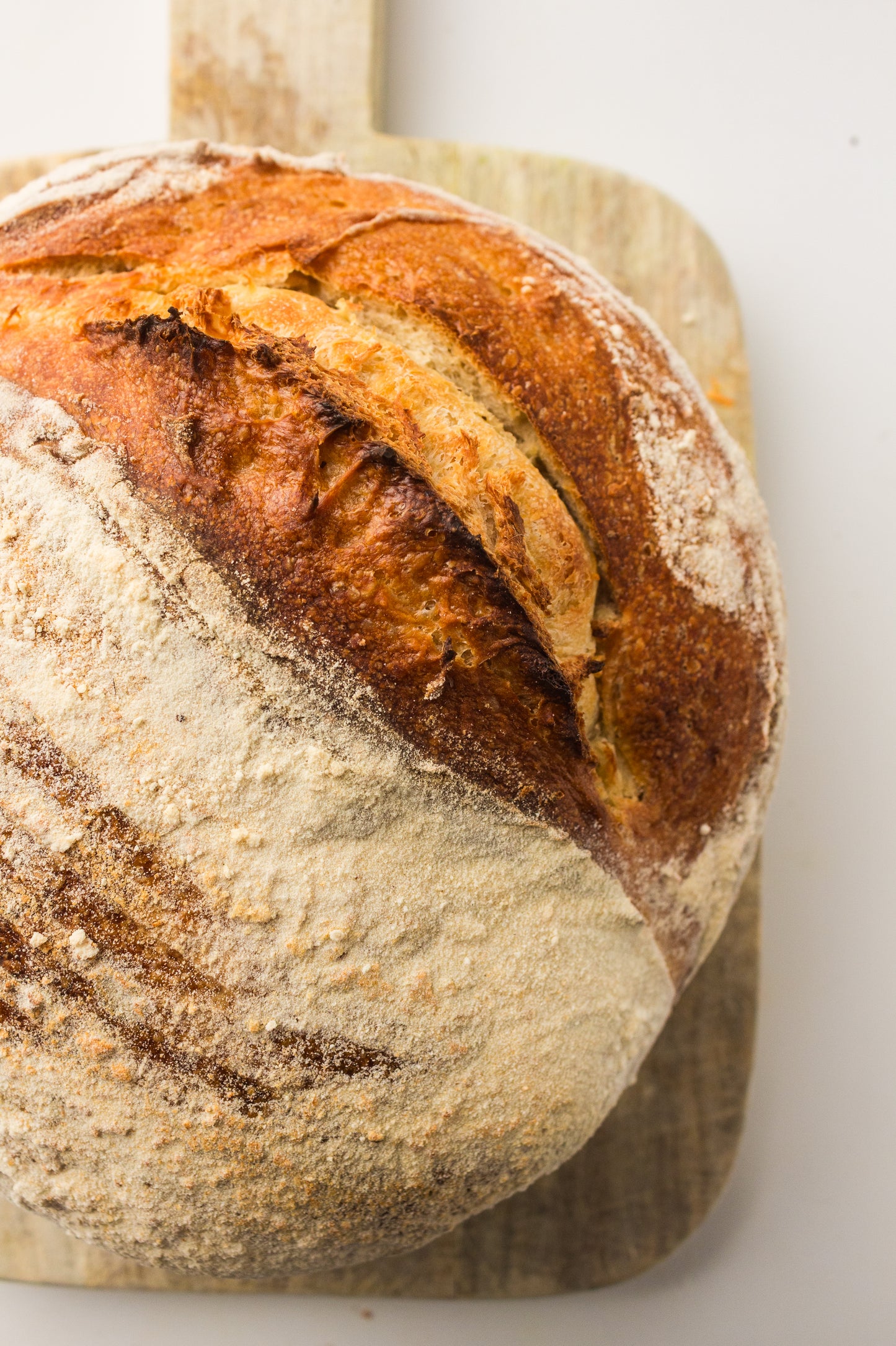 Artisan Sourdough Loaf (PLR Recipe)