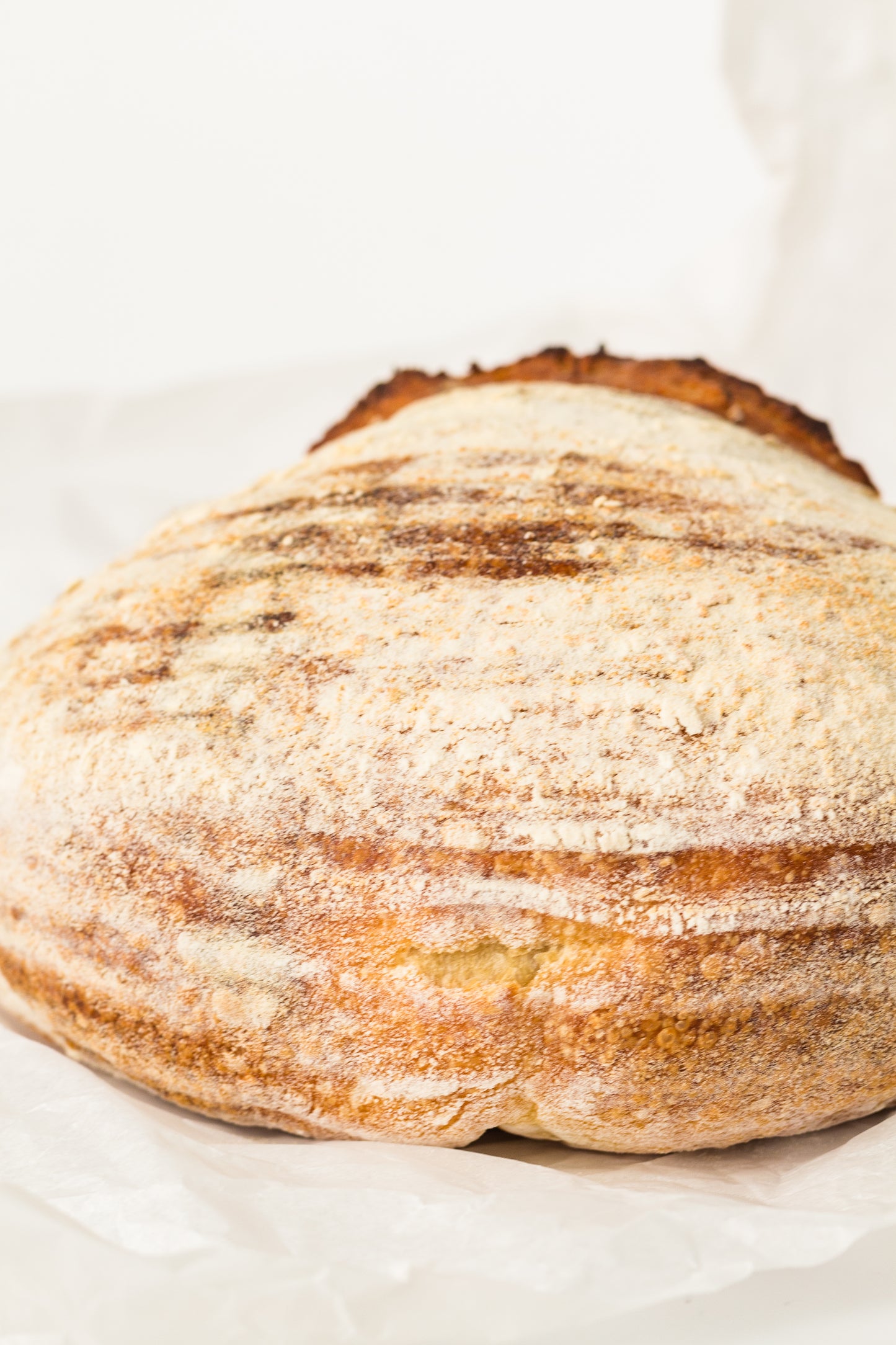 Artisan Sourdough Loaf (PLR Recipe)