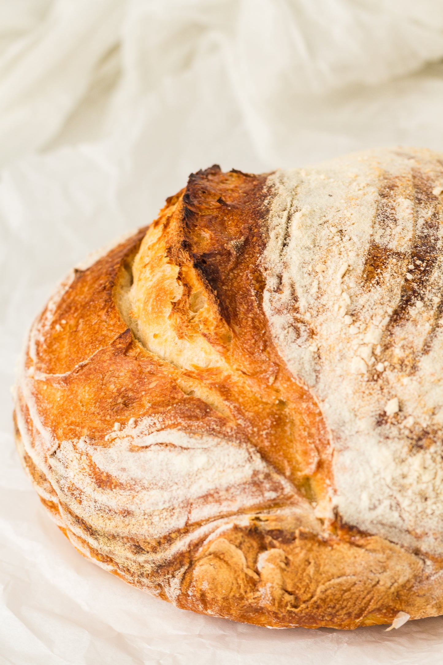 Artisan Sourdough Loaf (PLR Recipe)