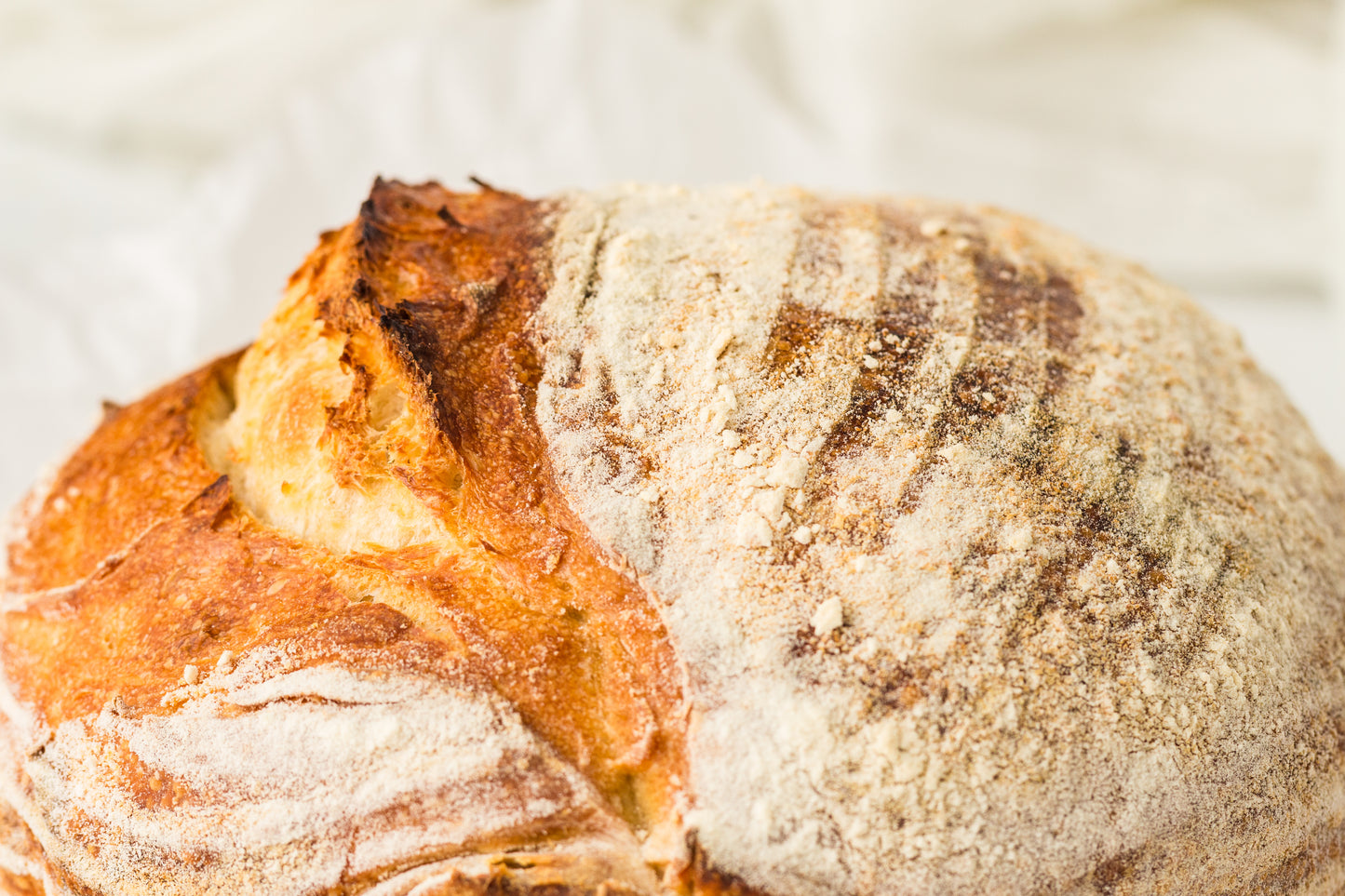 Artisan Sourdough Loaf (PLR Recipe)