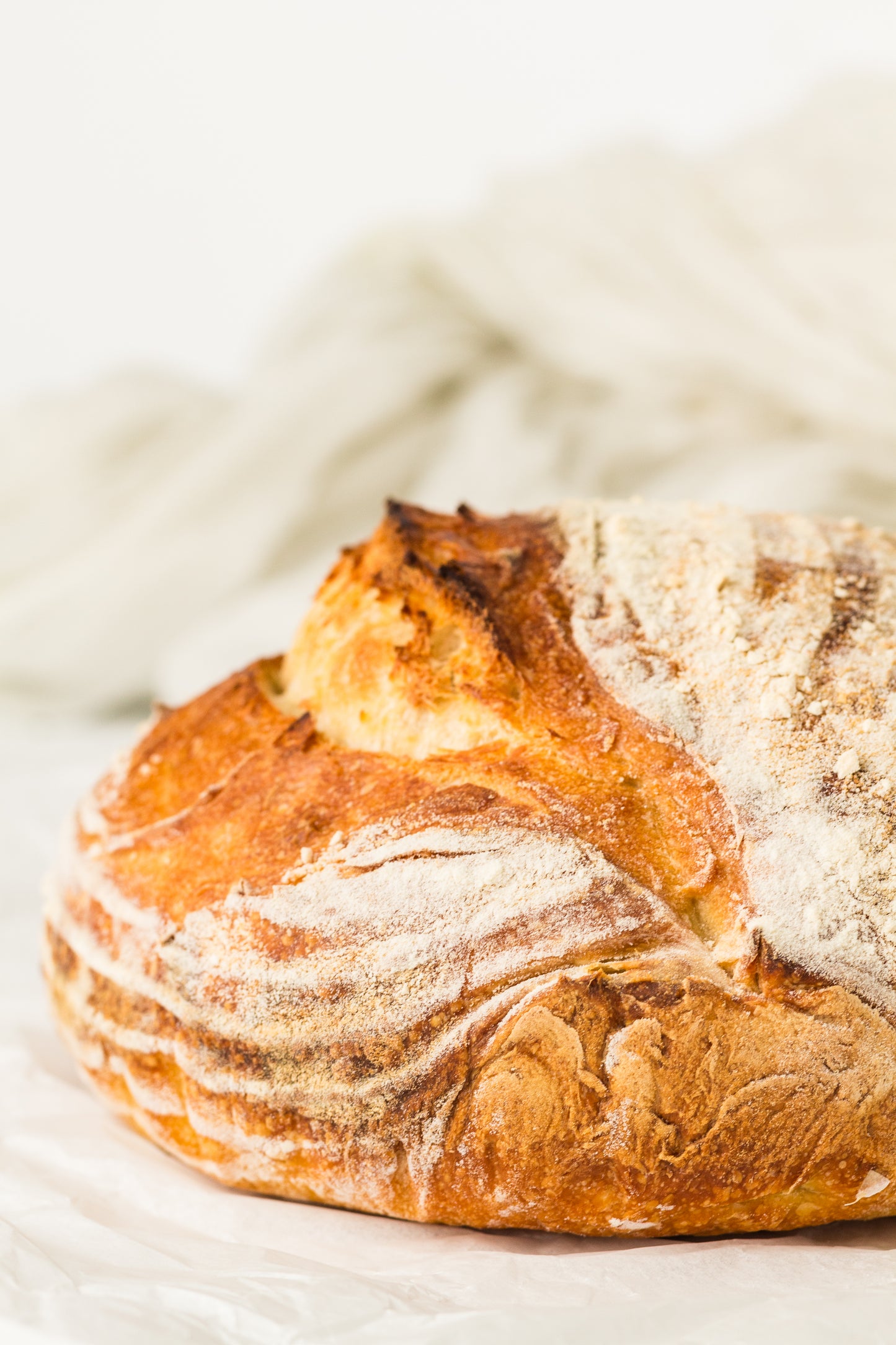 Artisan Sourdough Loaf (PLR Recipe)