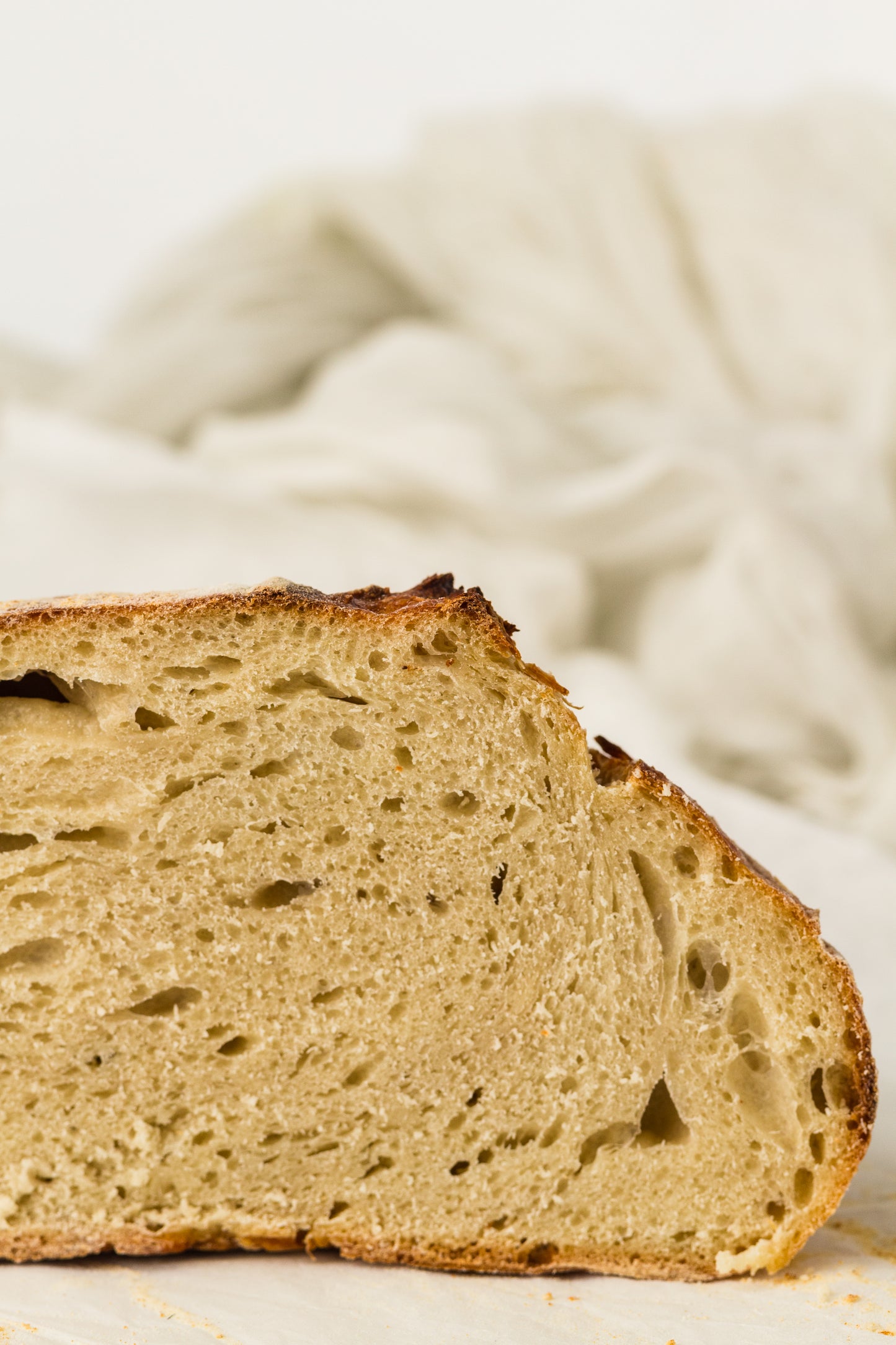 Artisan Sourdough Loaf (PLR Recipe)
