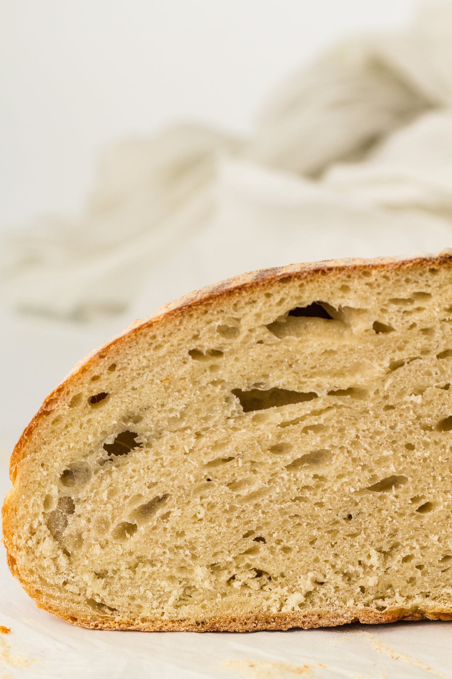 Artisan Sourdough Loaf (PLR Recipe)