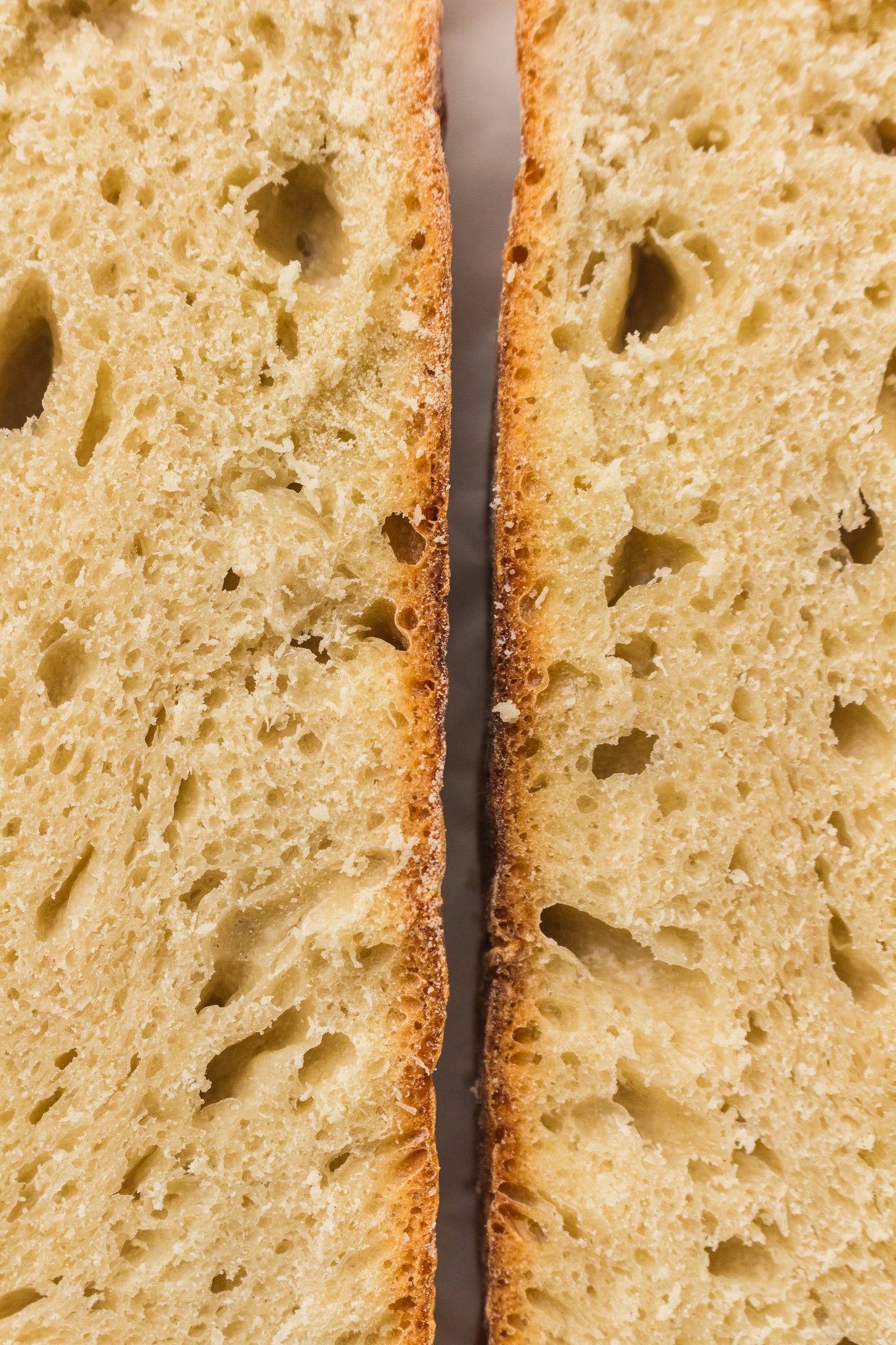 Artisan Sourdough Loaf (PLR Recipe)