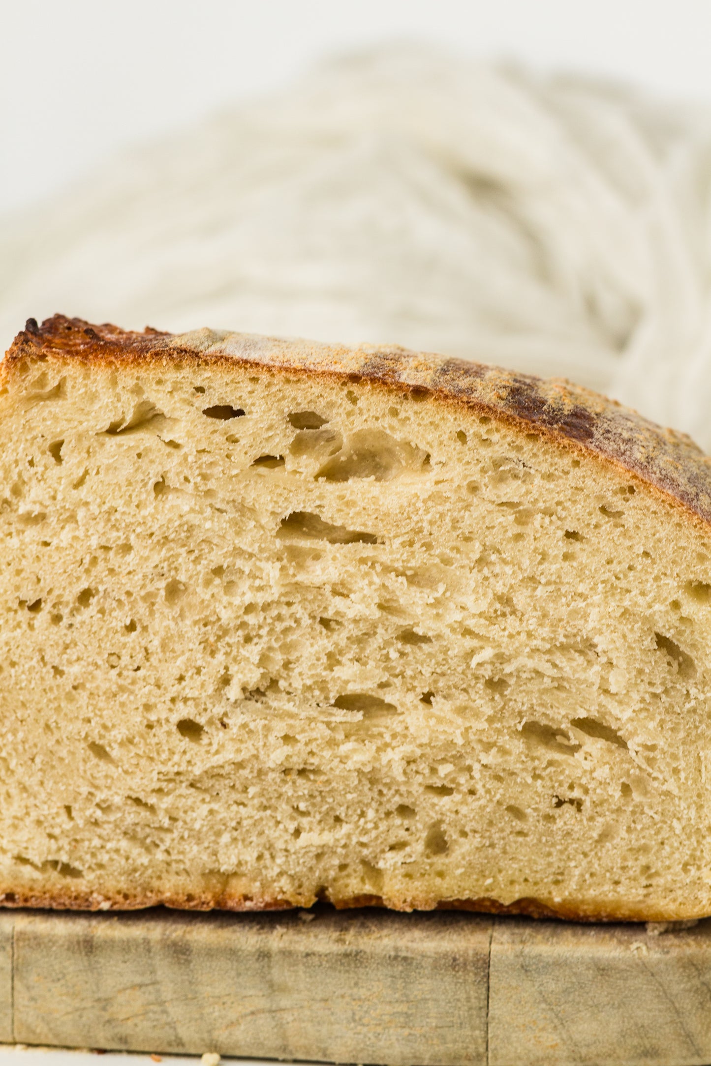 Artisan Sourdough Loaf (PLR Recipe)