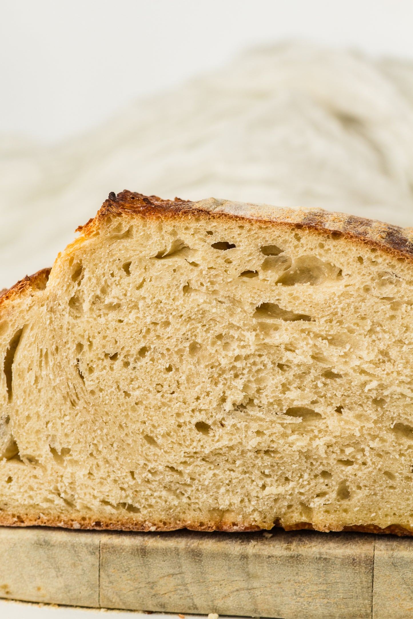 Artisan Sourdough Loaf (PLR Recipe)