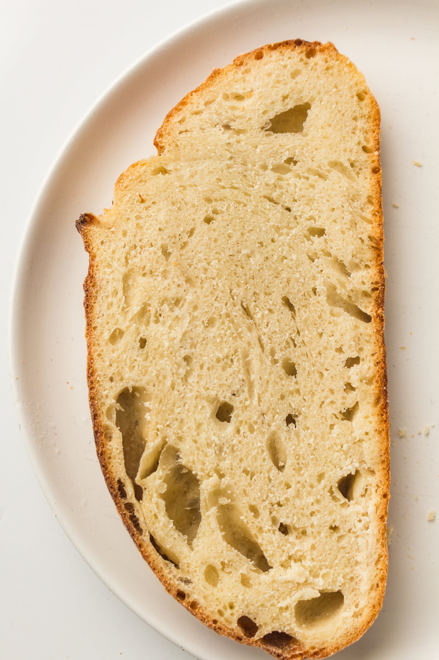 Artisan Sourdough Loaf (PLR Recipe)