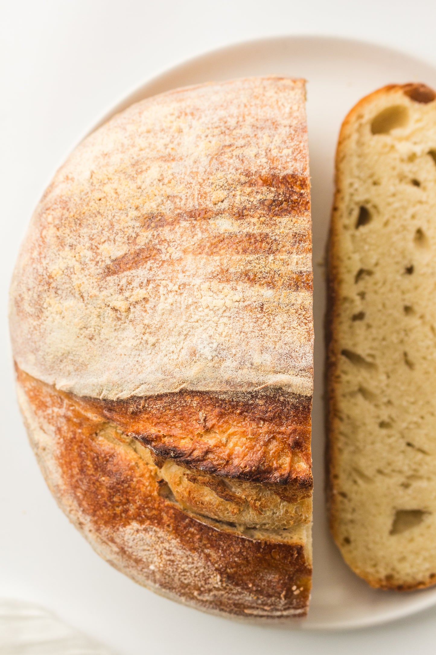 Artisan Sourdough Loaf (PLR Recipe)