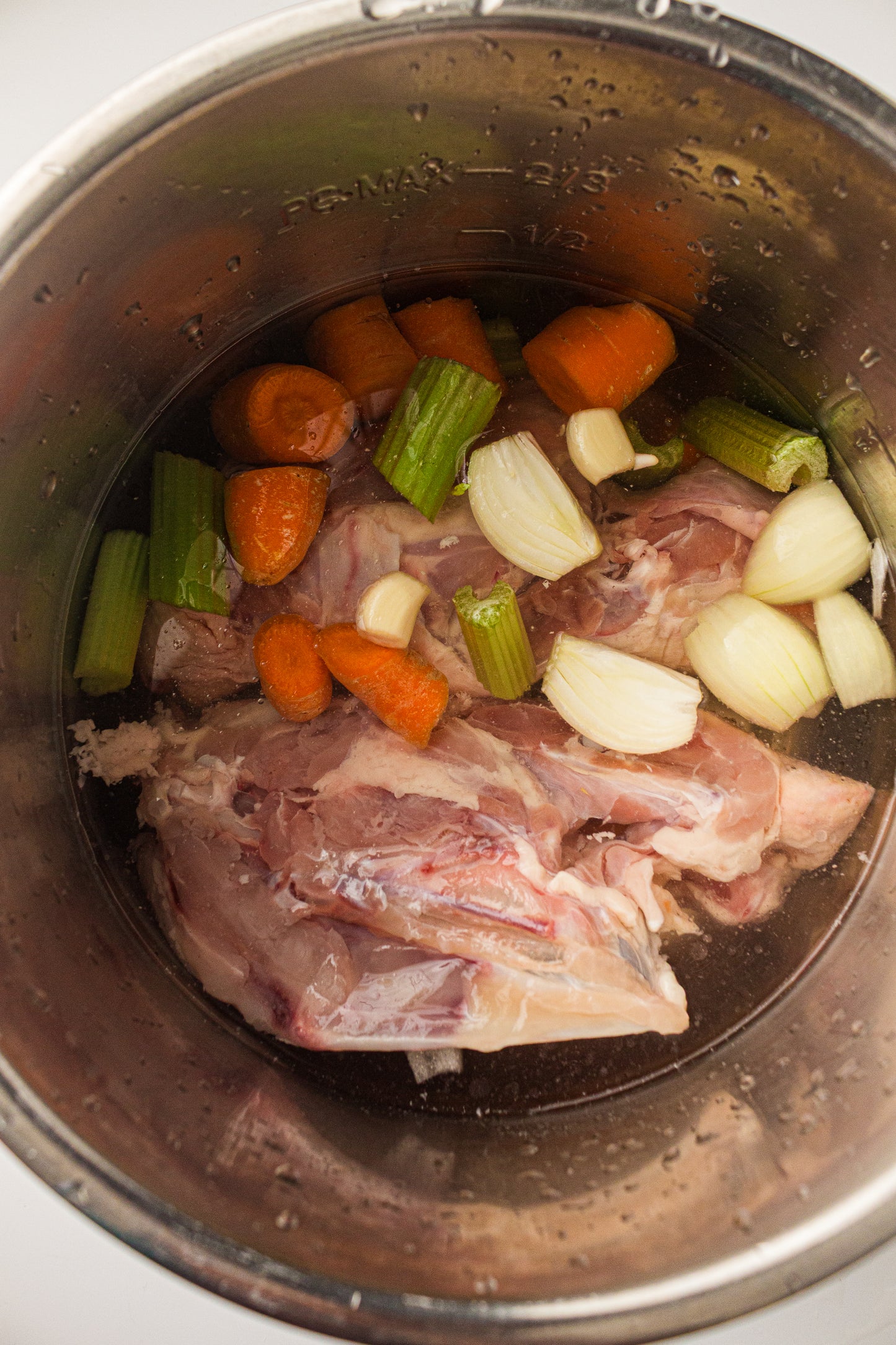 Instant Pot Chicken Stock / Broth (PLR Recipe)