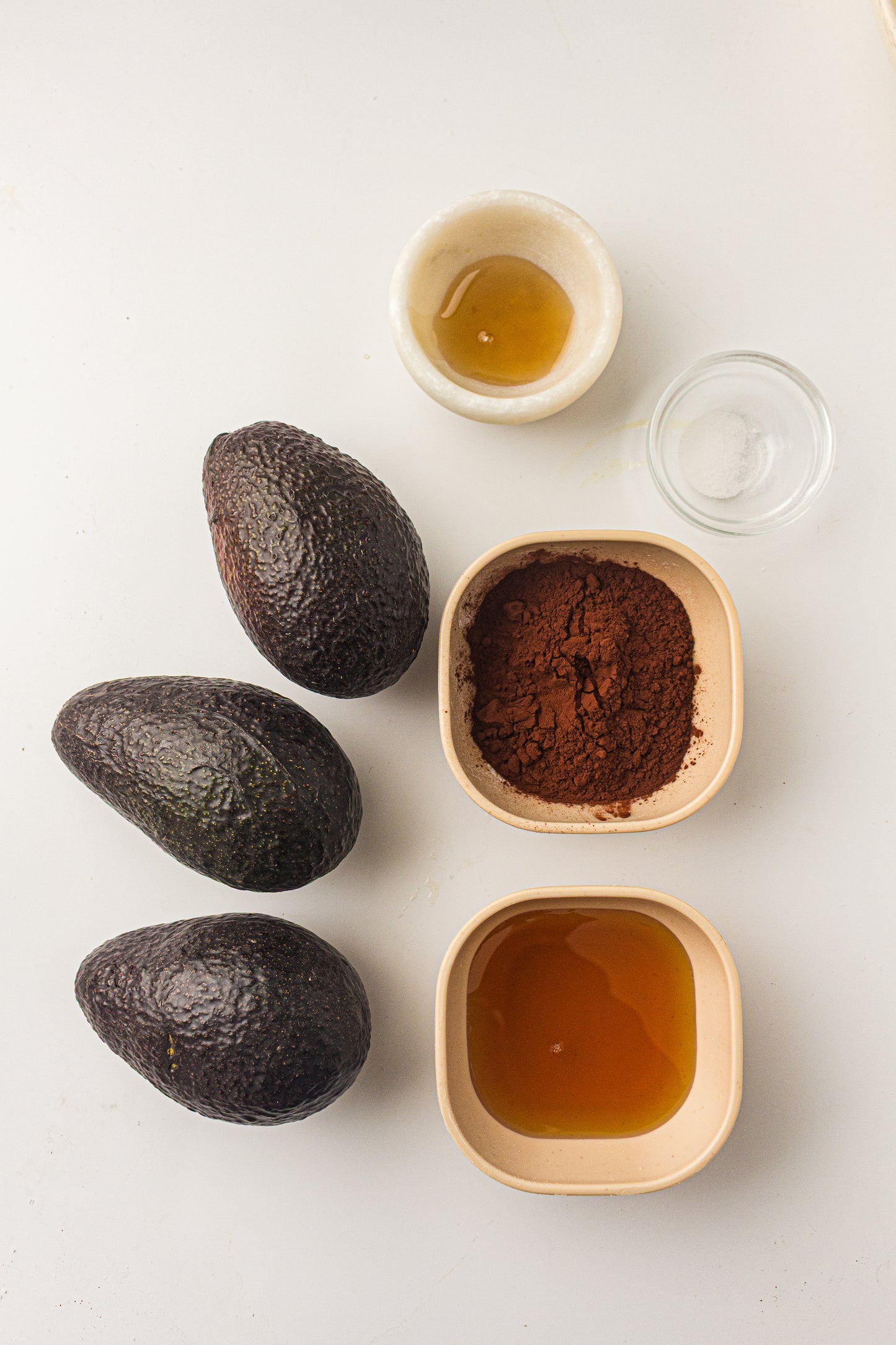 Chocolate Avocado Mousse (PLR Recipe)