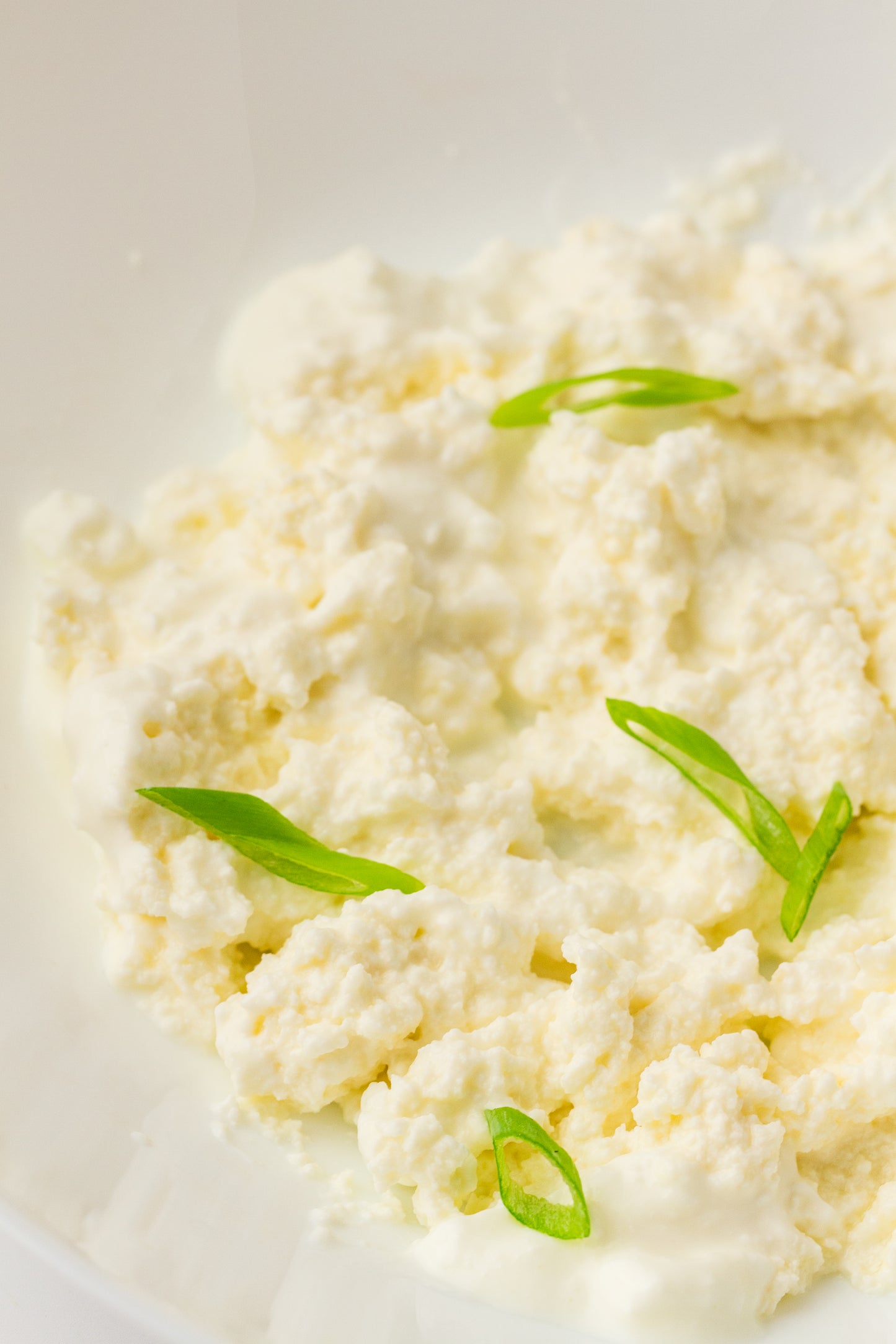 Homemade Cottage Cheese (PLR Recipe)
