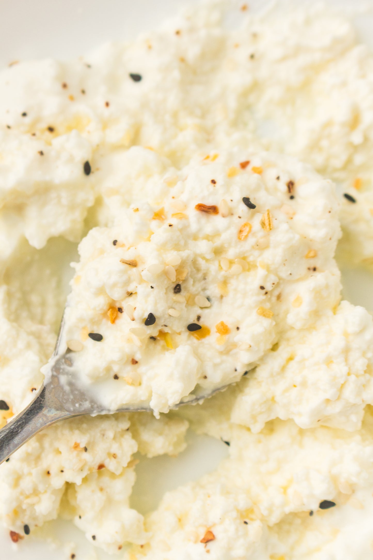 Homemade Cottage Cheese (PLR Recipe)