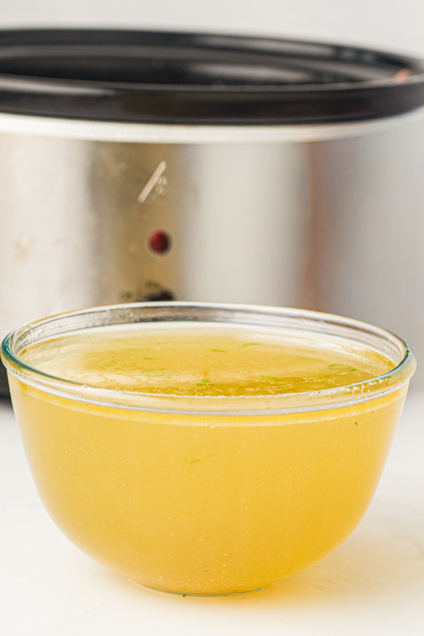 Slow Cooker Chicken Stock / Broth (PLR Recipe)