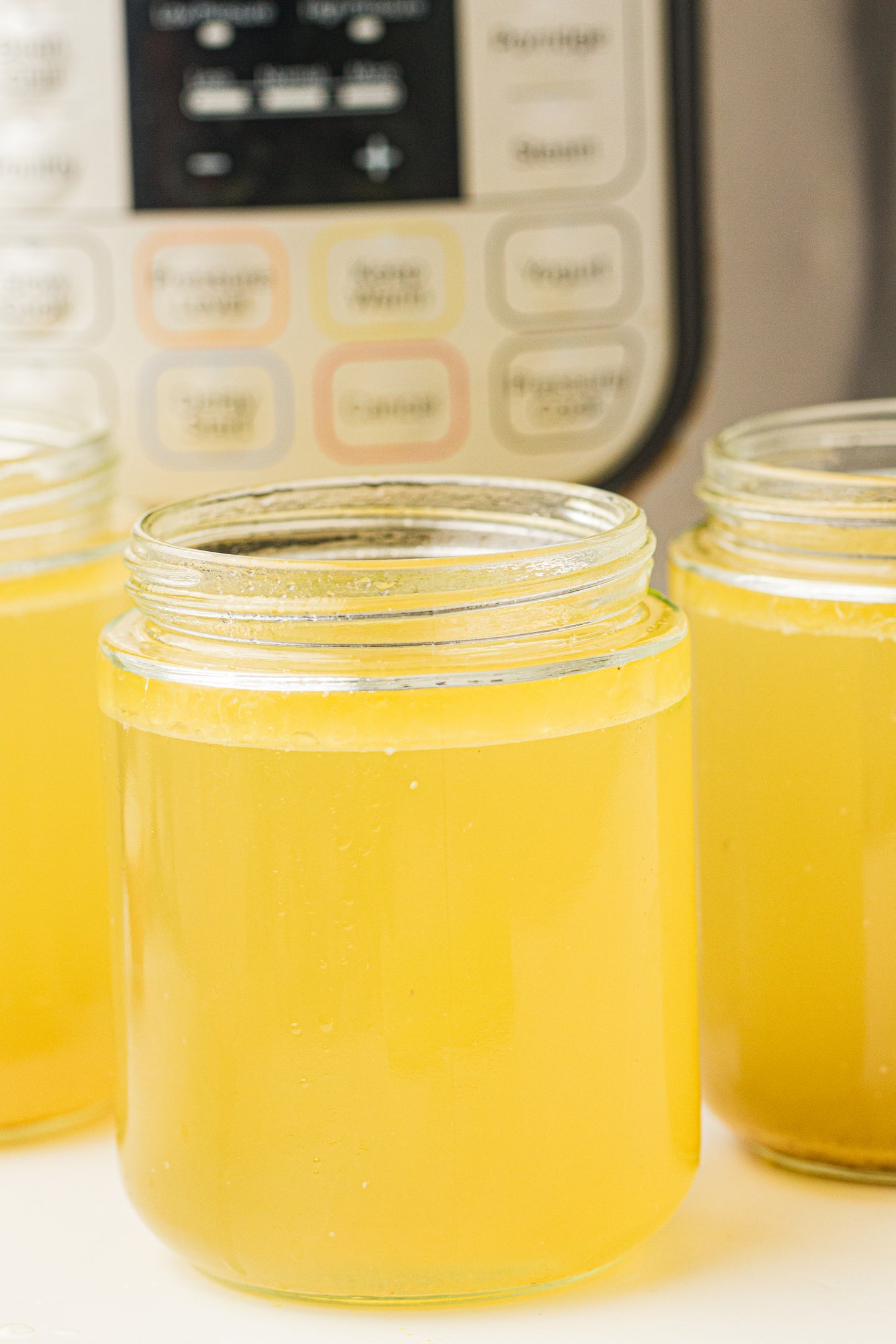 Instant Pot Chicken Stock / Broth (PLR Recipe)