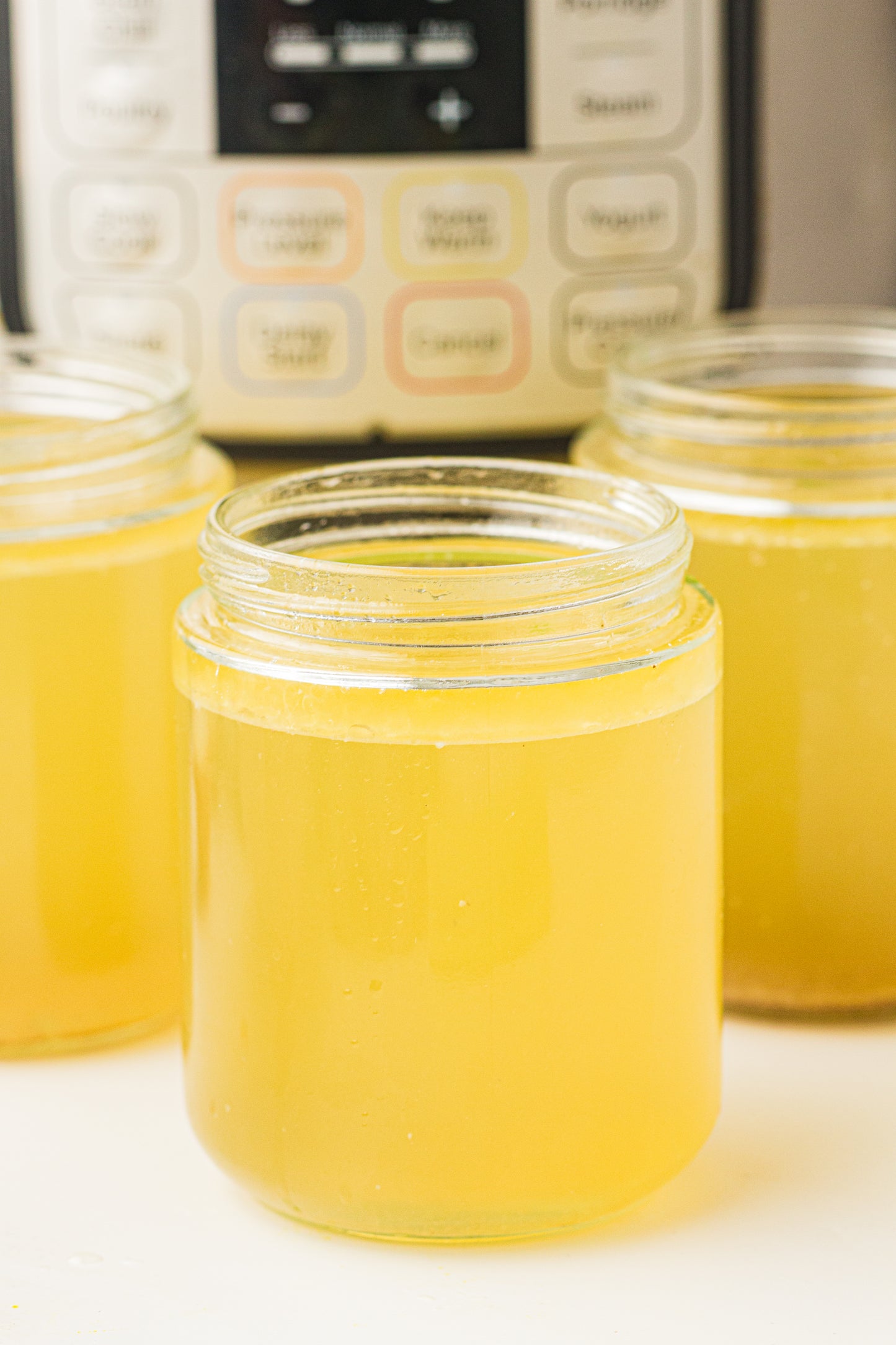 Instant Pot Chicken Stock / Broth (PLR Recipe)