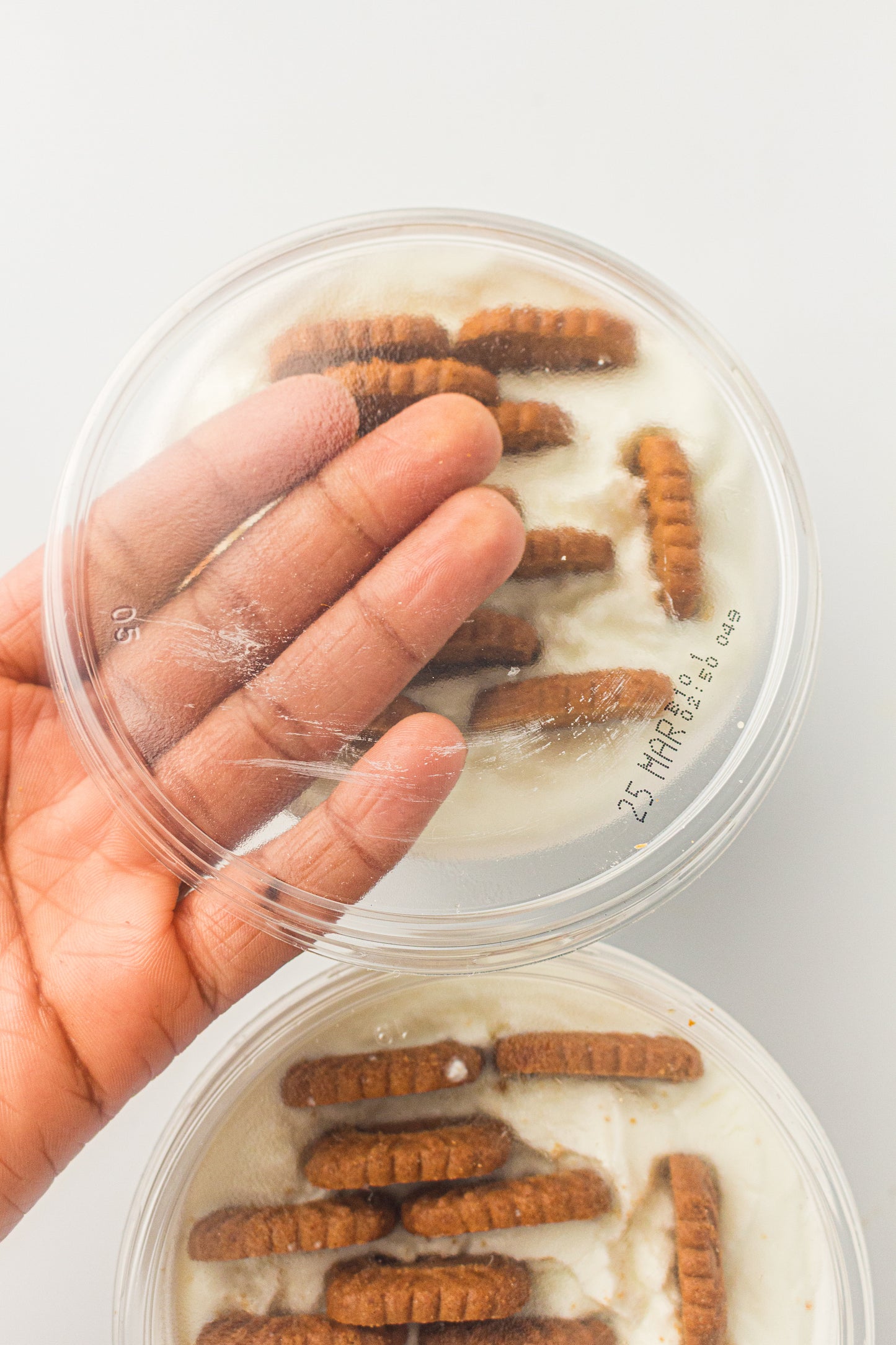 Two-Ingredient Japanese Yogurt Cheesecake – PLR Recipe