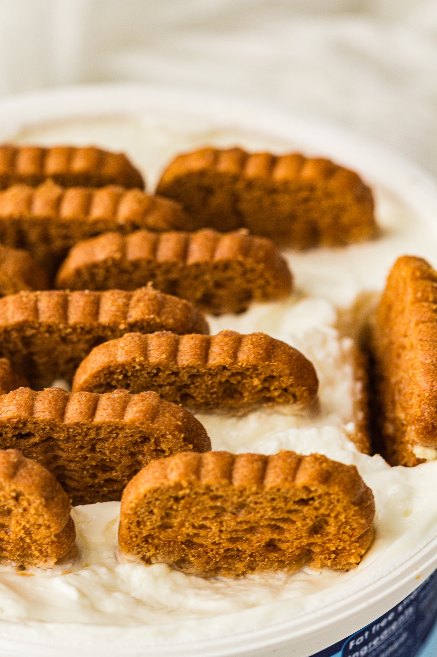 Two-Ingredient Japanese Yogurt Cheesecake – PLR Recipe