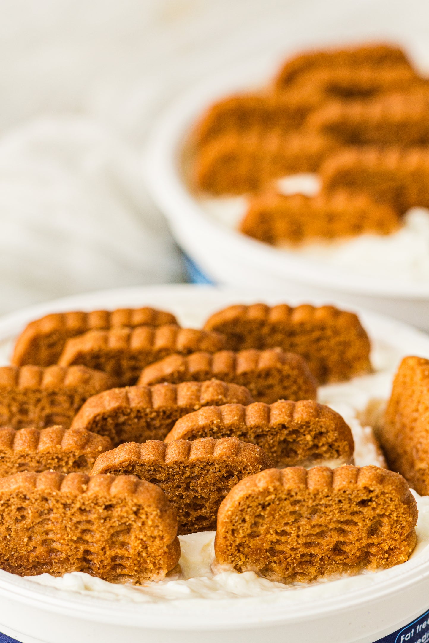 Two-Ingredient Japanese Yogurt Cheesecake – PLR Recipe