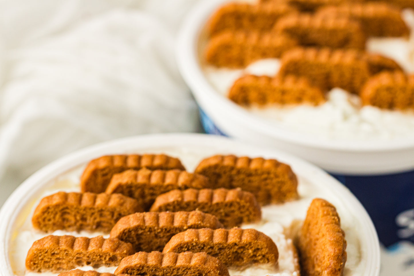 Two-Ingredient Japanese Yogurt Cheesecake – PLR Recipe