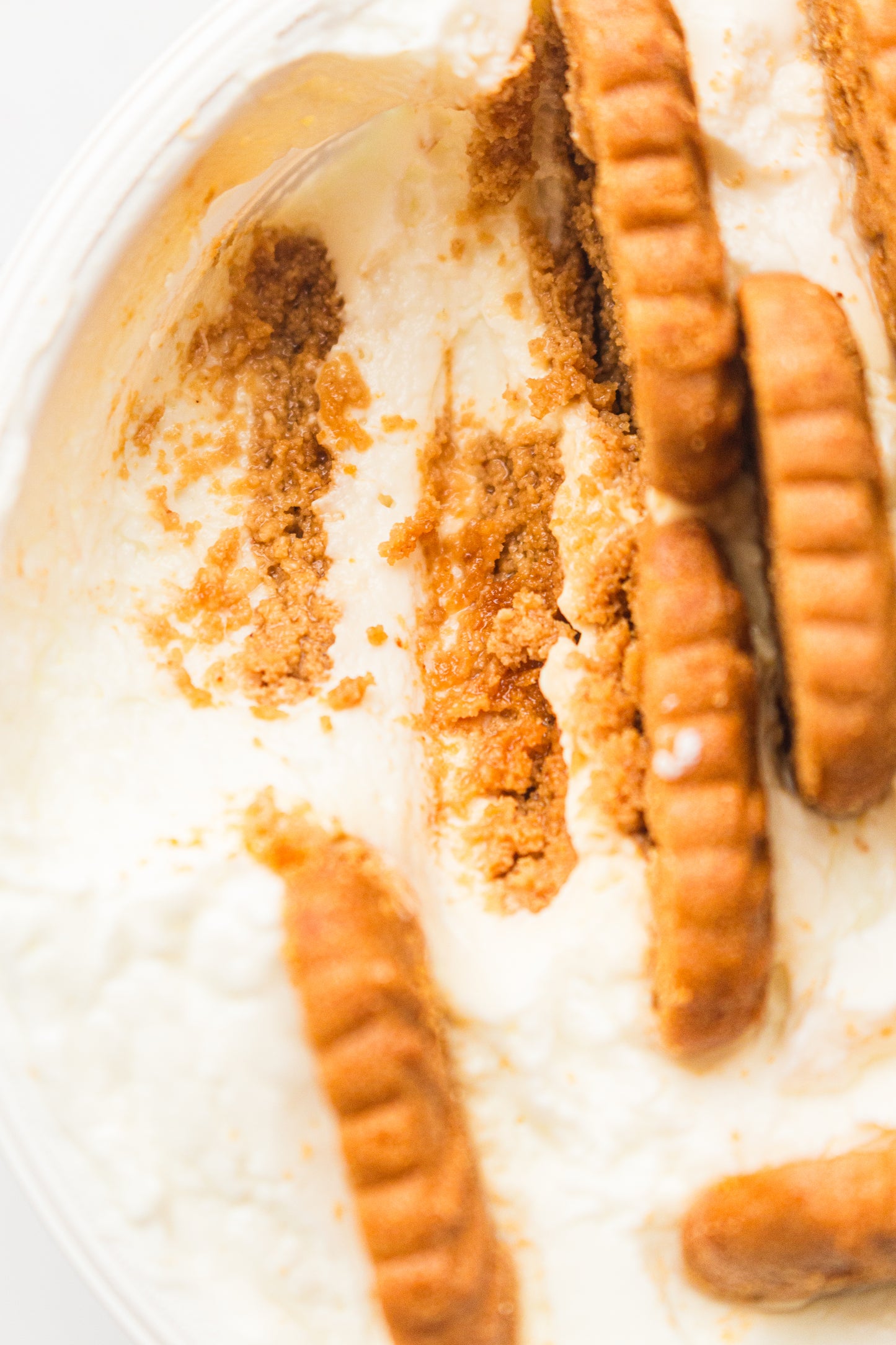 Two-Ingredient Japanese Yogurt Cheesecake – PLR Recipe