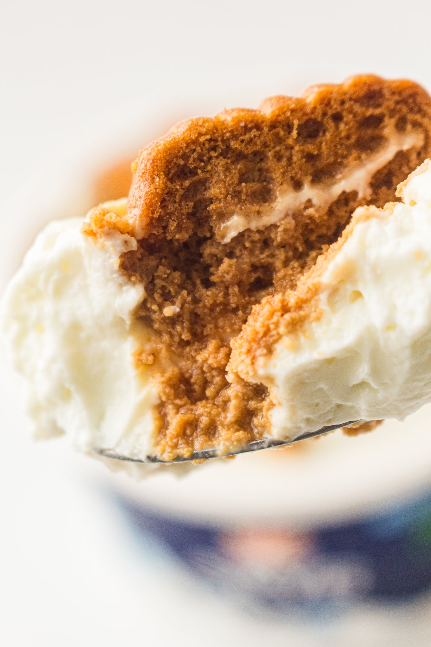 Two-Ingredient Japanese Yogurt Cheesecake – PLR Recipe