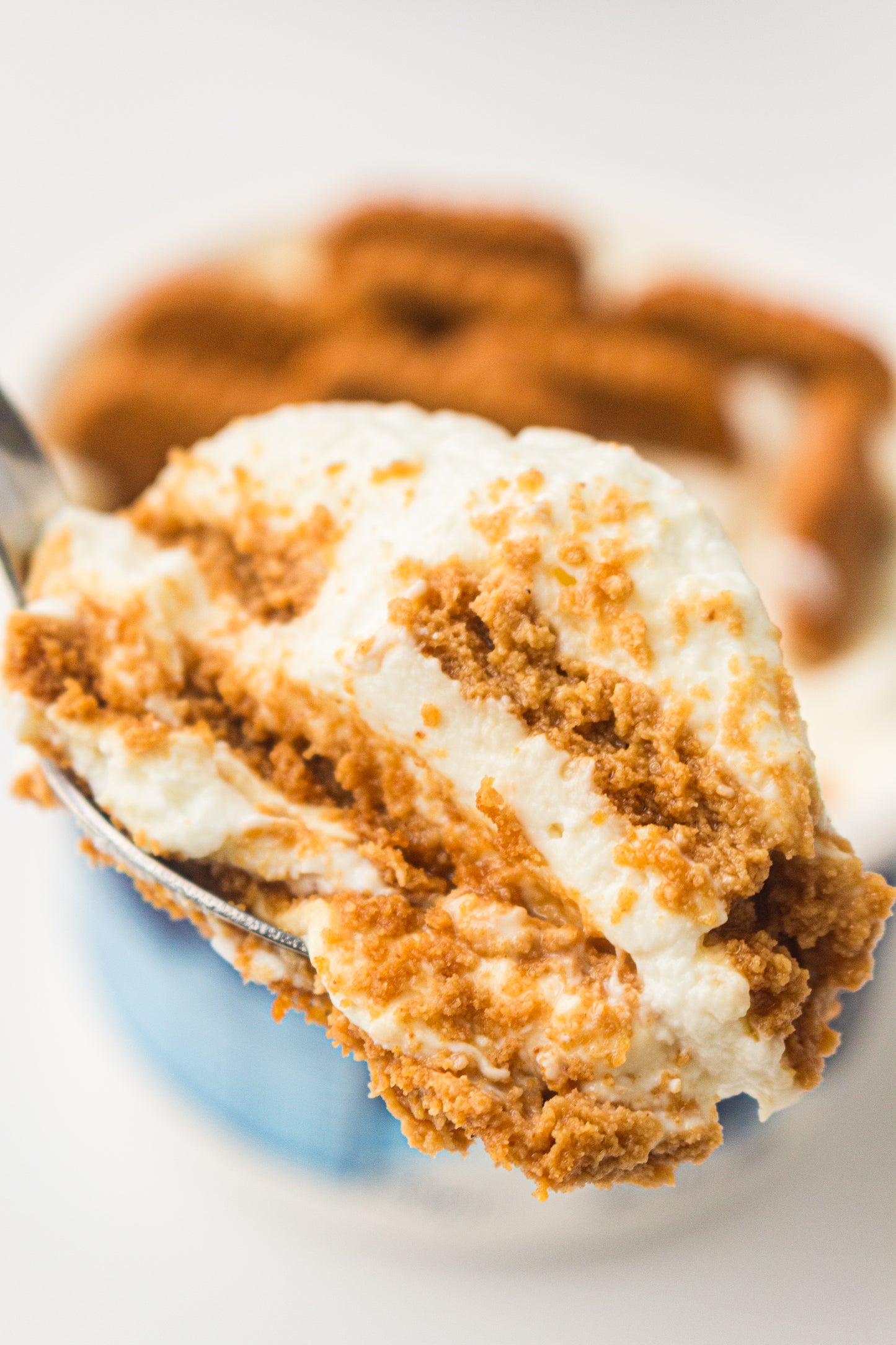 Two-Ingredient Japanese Yogurt Cheesecake – PLR Recipe