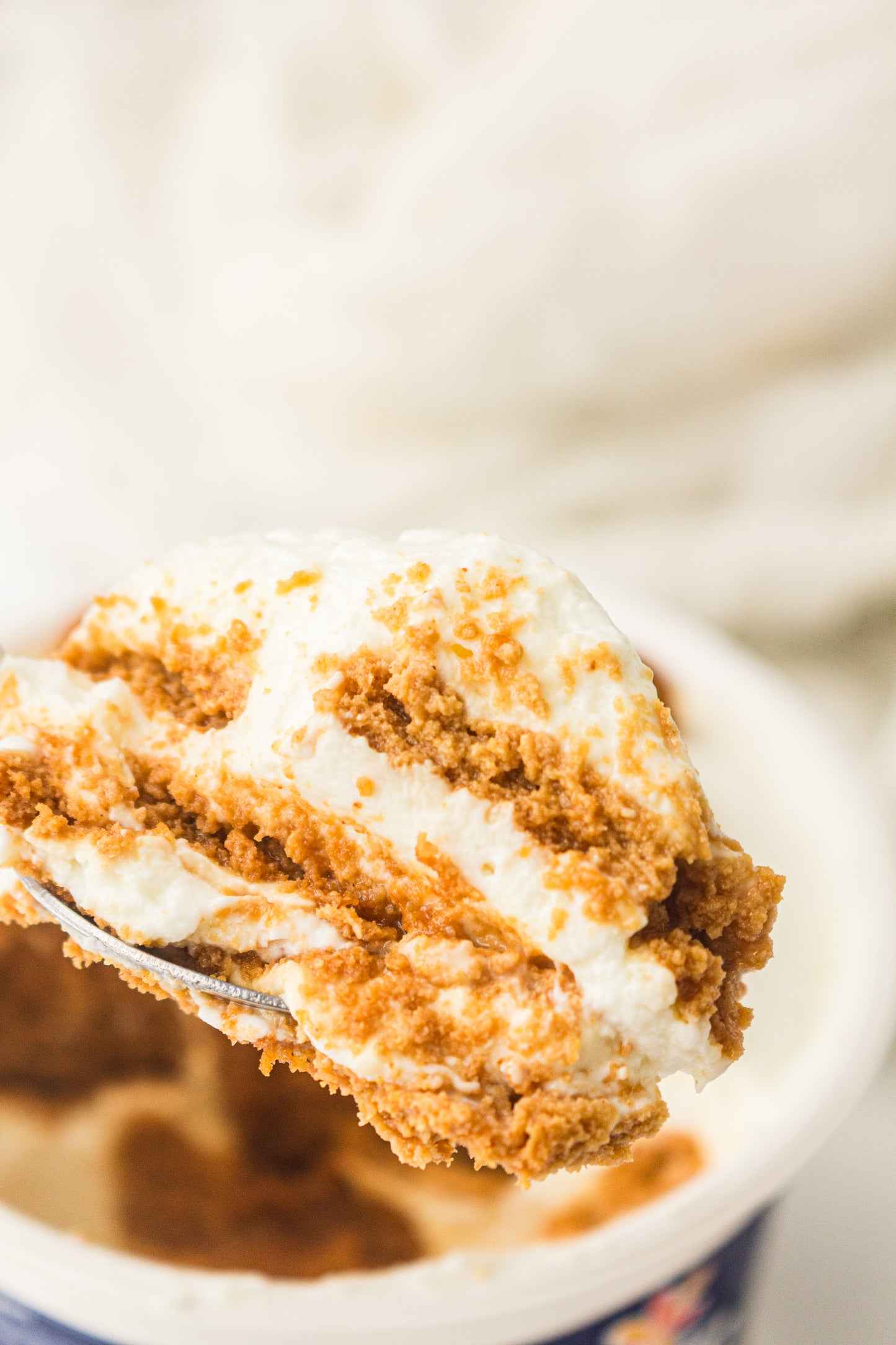 Two-Ingredient Japanese Yogurt Cheesecake – PLR Recipe