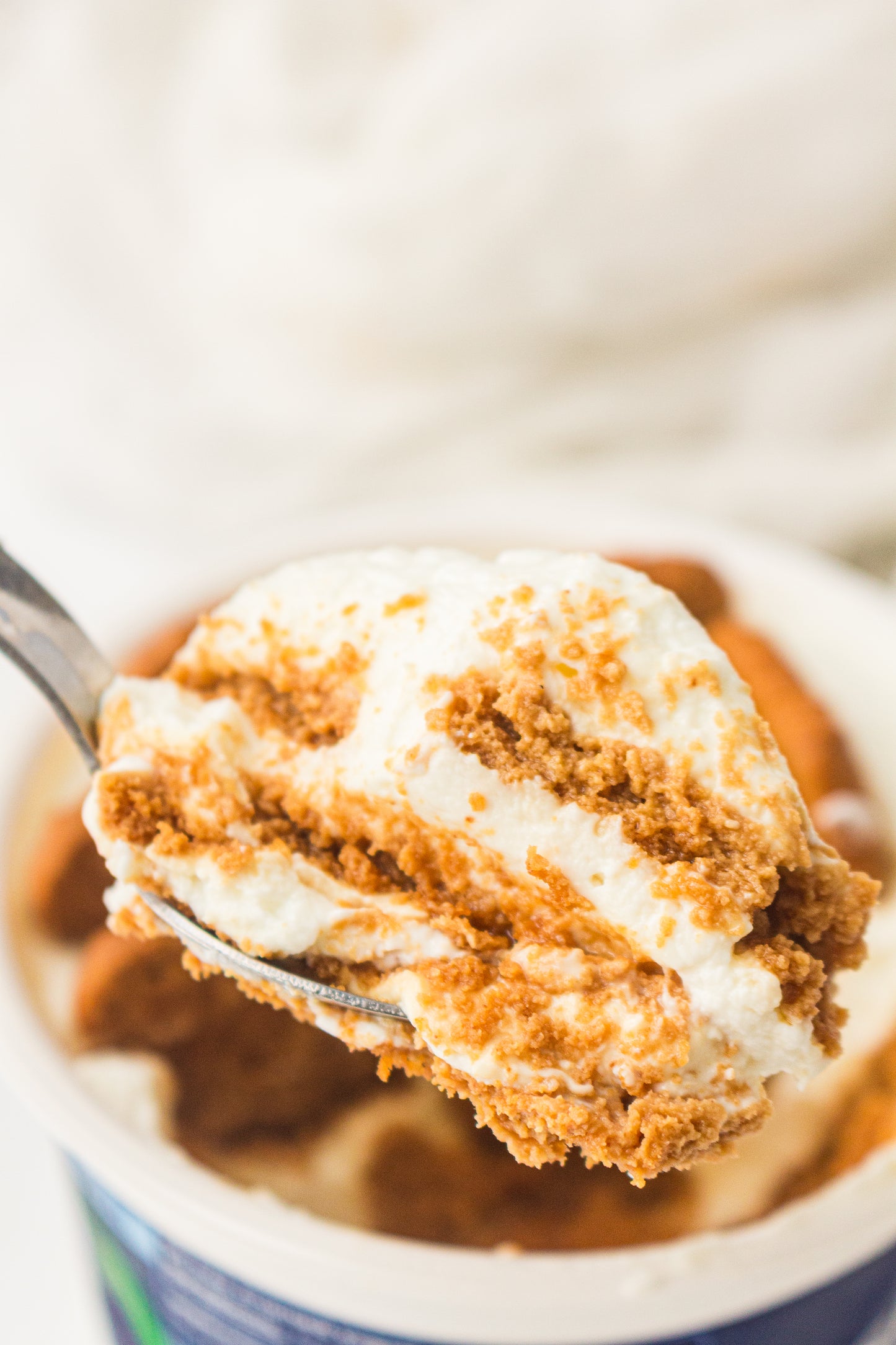 Two-Ingredient Japanese Yogurt Cheesecake – PLR Recipe