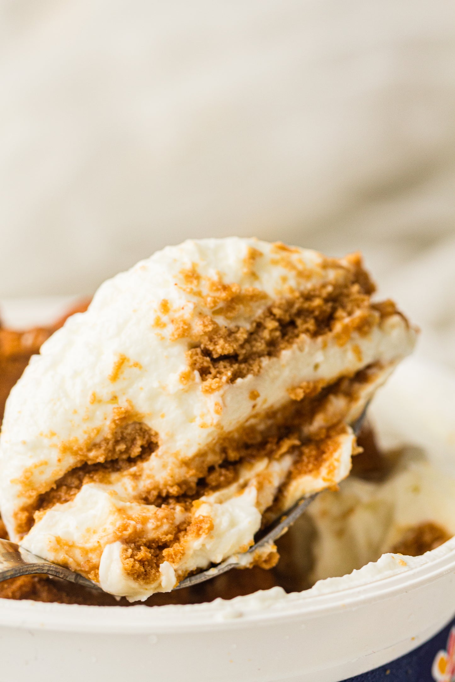 Two-Ingredient Japanese Yogurt Cheesecake – PLR Recipe