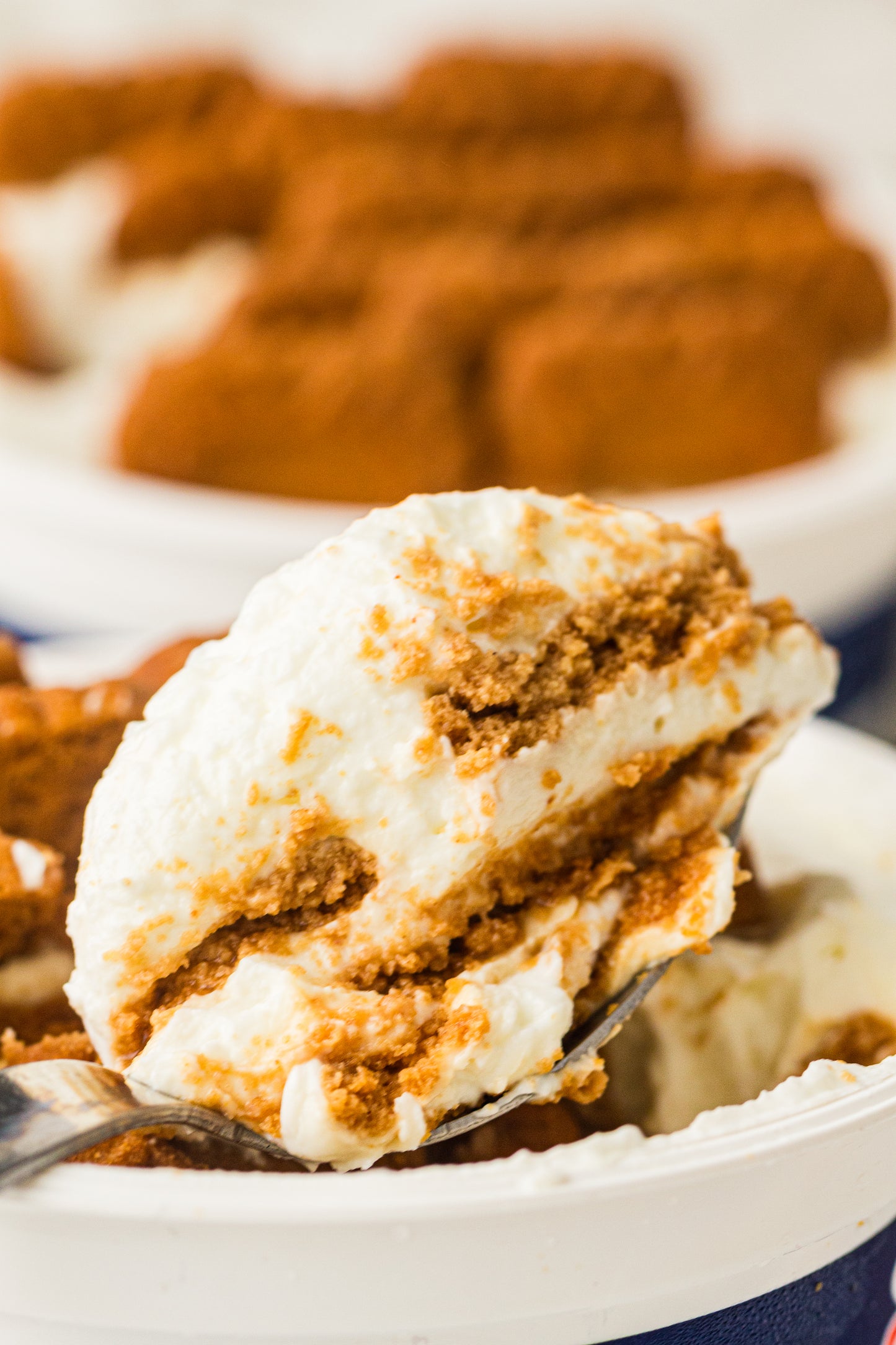 Two-Ingredient Japanese Yogurt Cheesecake – PLR Recipe