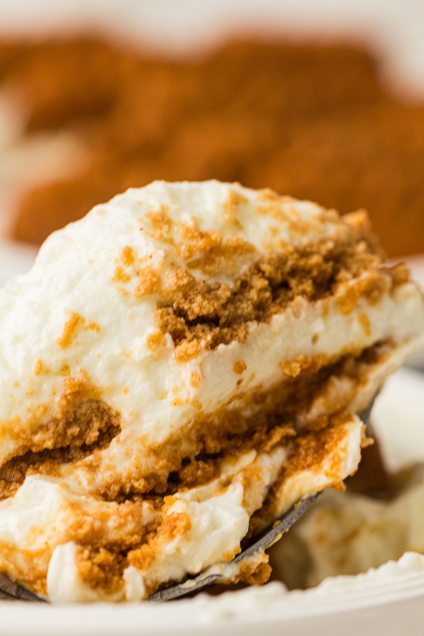 Two-Ingredient Japanese Yogurt Cheesecake – PLR Recipe