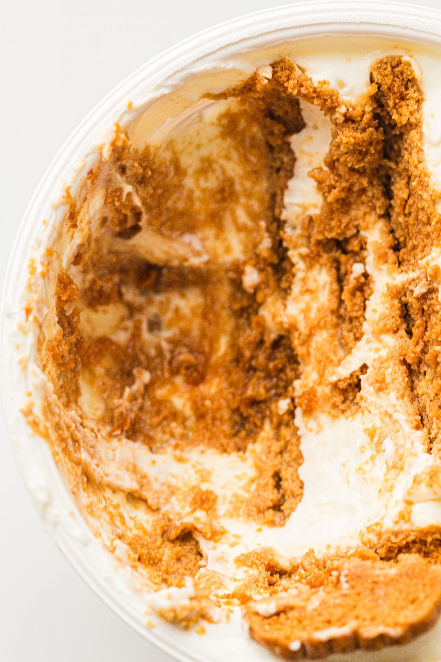 Two-Ingredient Japanese Yogurt Cheesecake – PLR Recipe