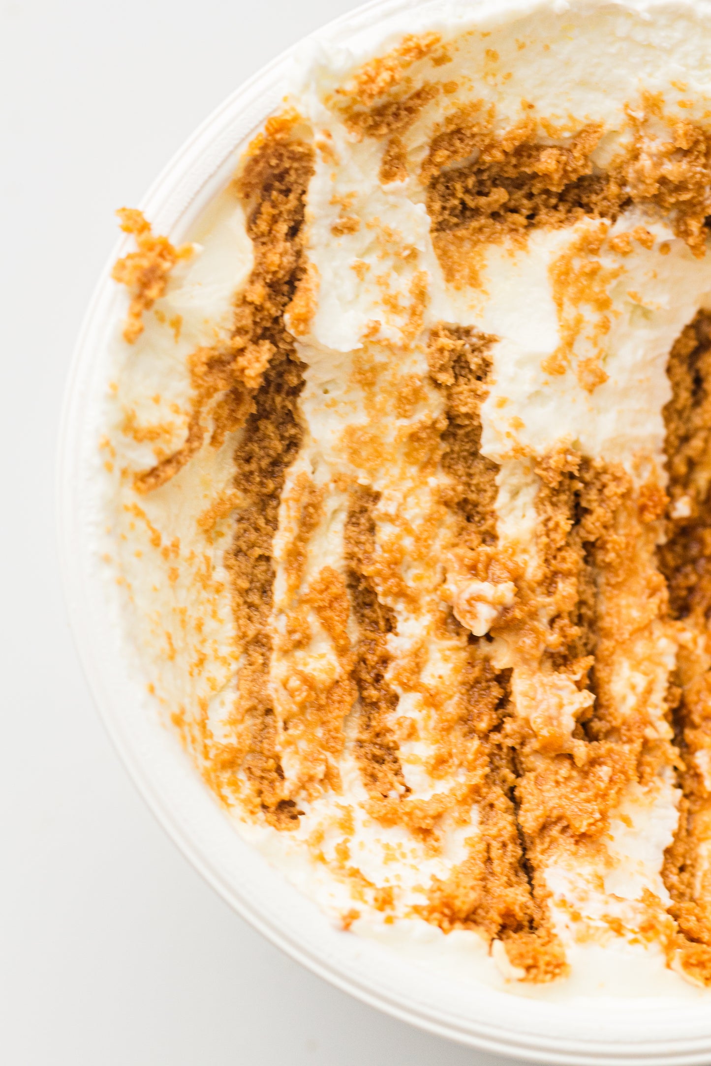 Two-Ingredient Japanese Yogurt Cheesecake – PLR Recipe